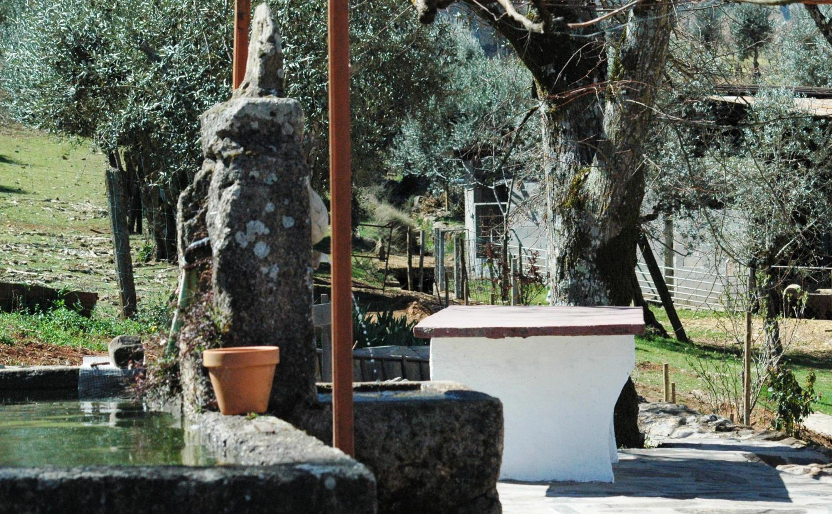 Quinta Do Vaqueirinho - Agro-Turismo