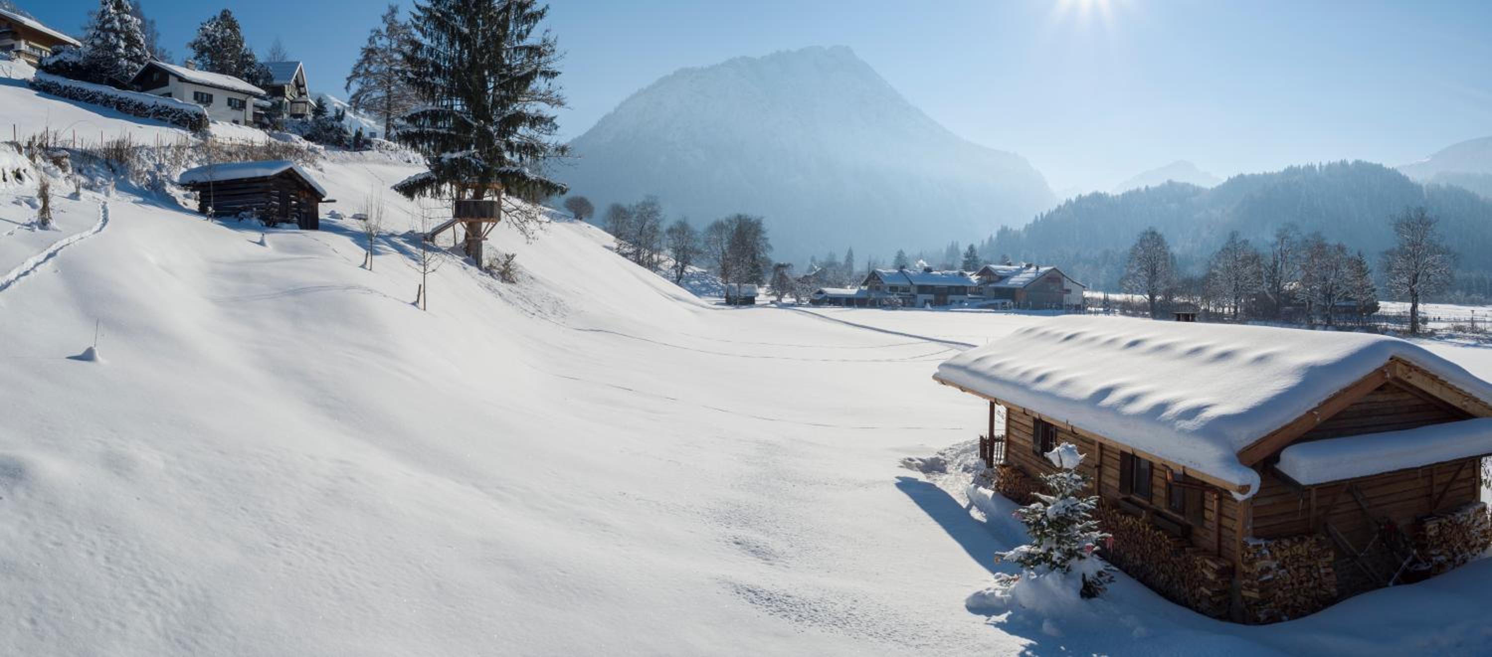 Hütte Almrausch