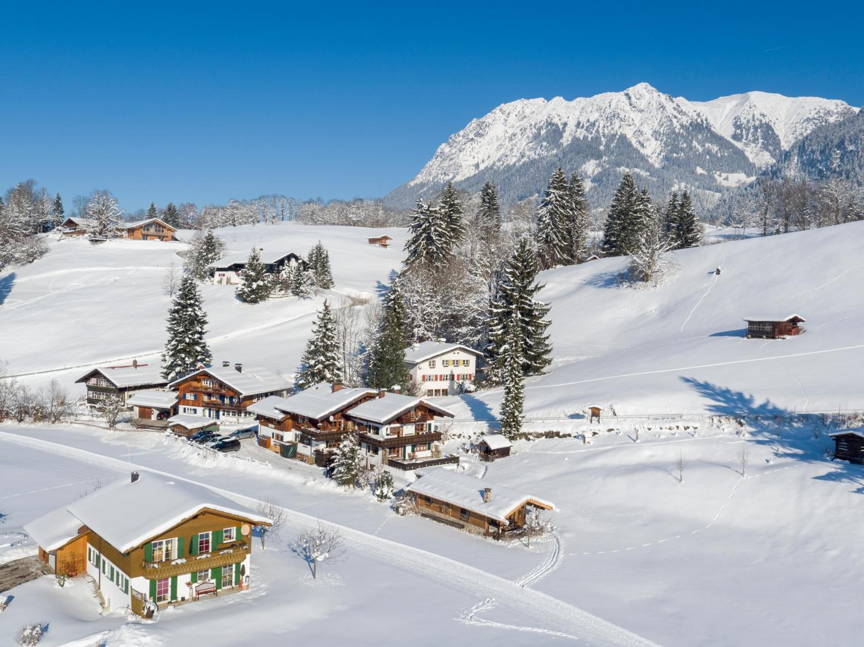 Hütte Almrausch