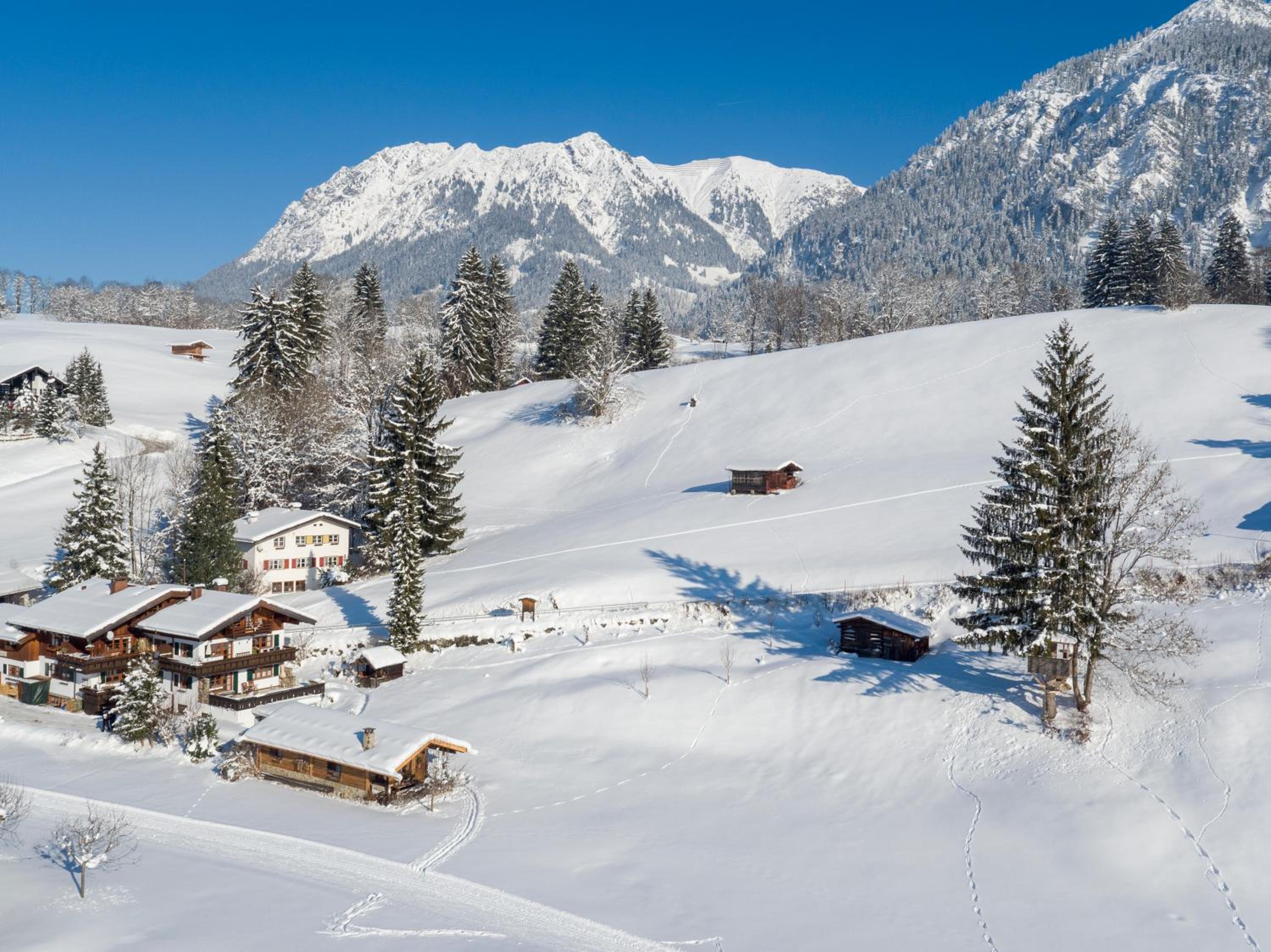 Hütte Almrausch