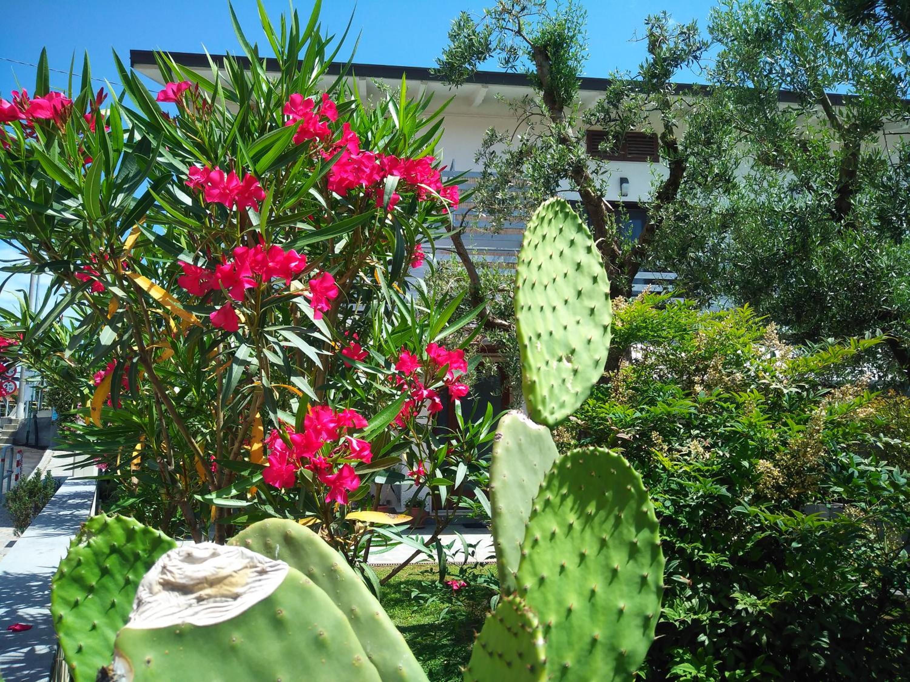 Photo 23