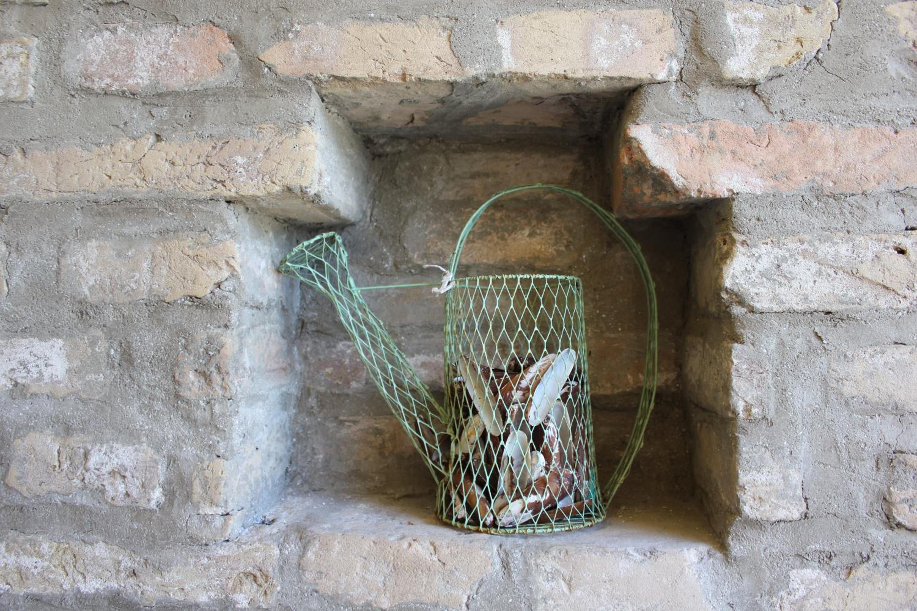 Photo 47