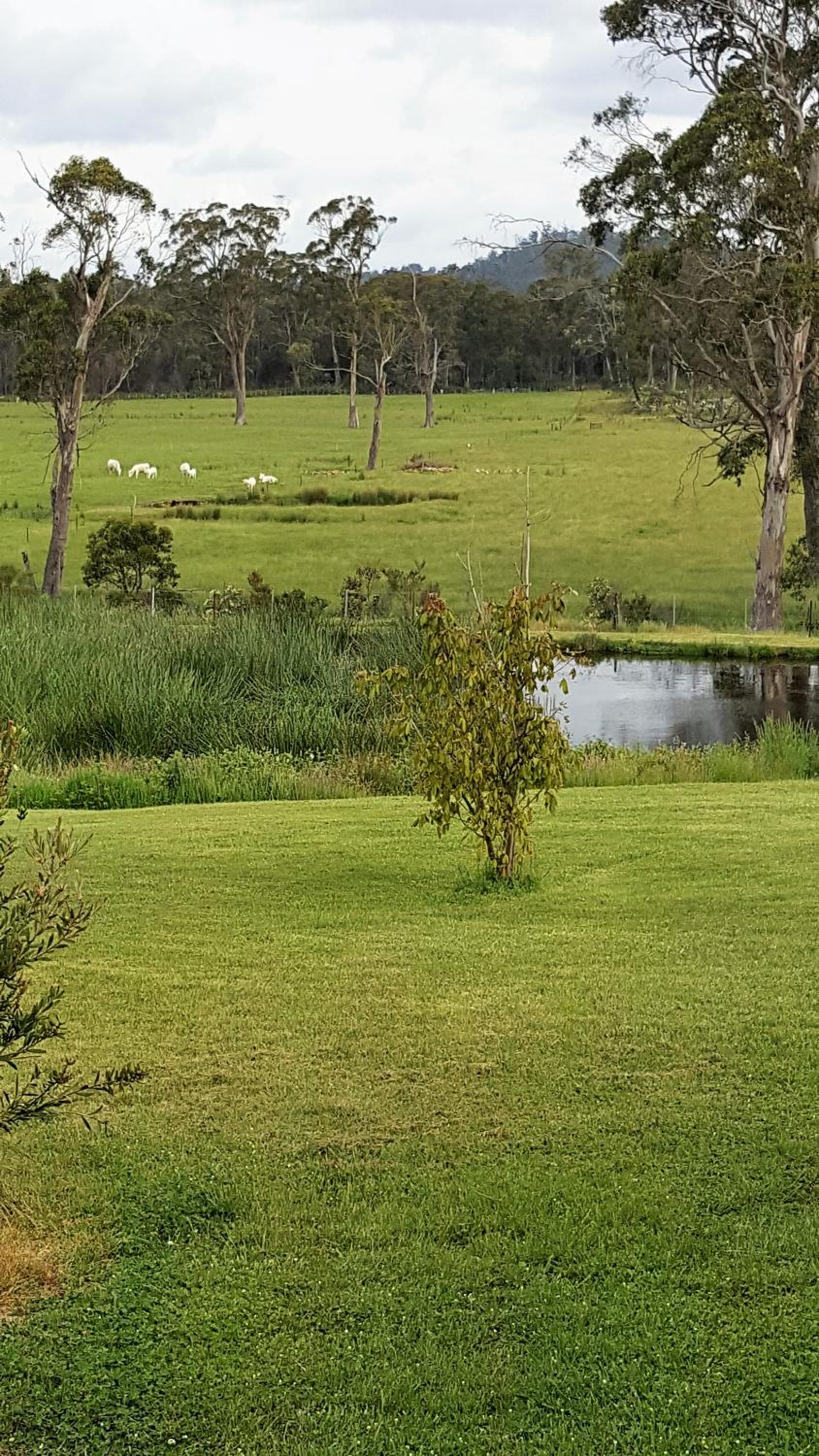 Hazelcreek Cottages