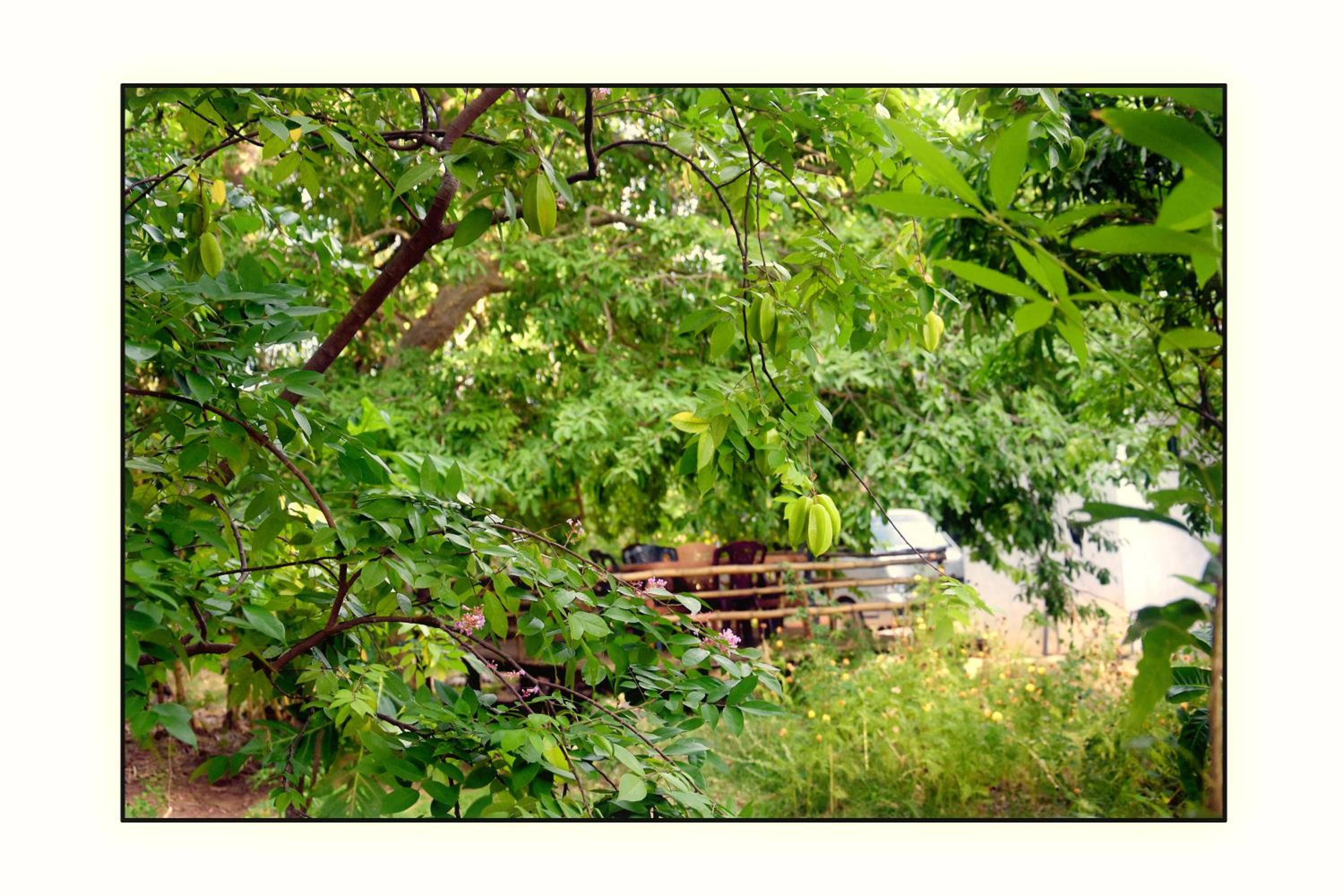 Photo 48
