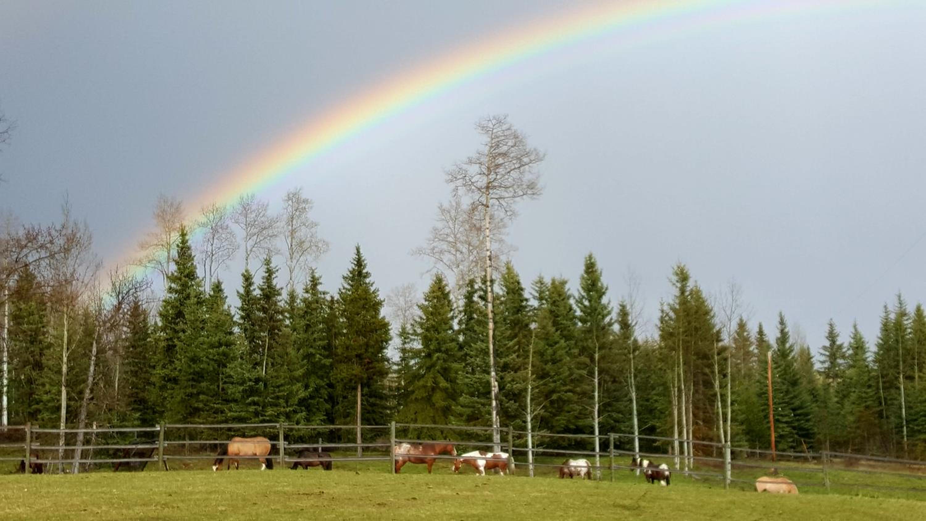 Wettstone Guest Ranch