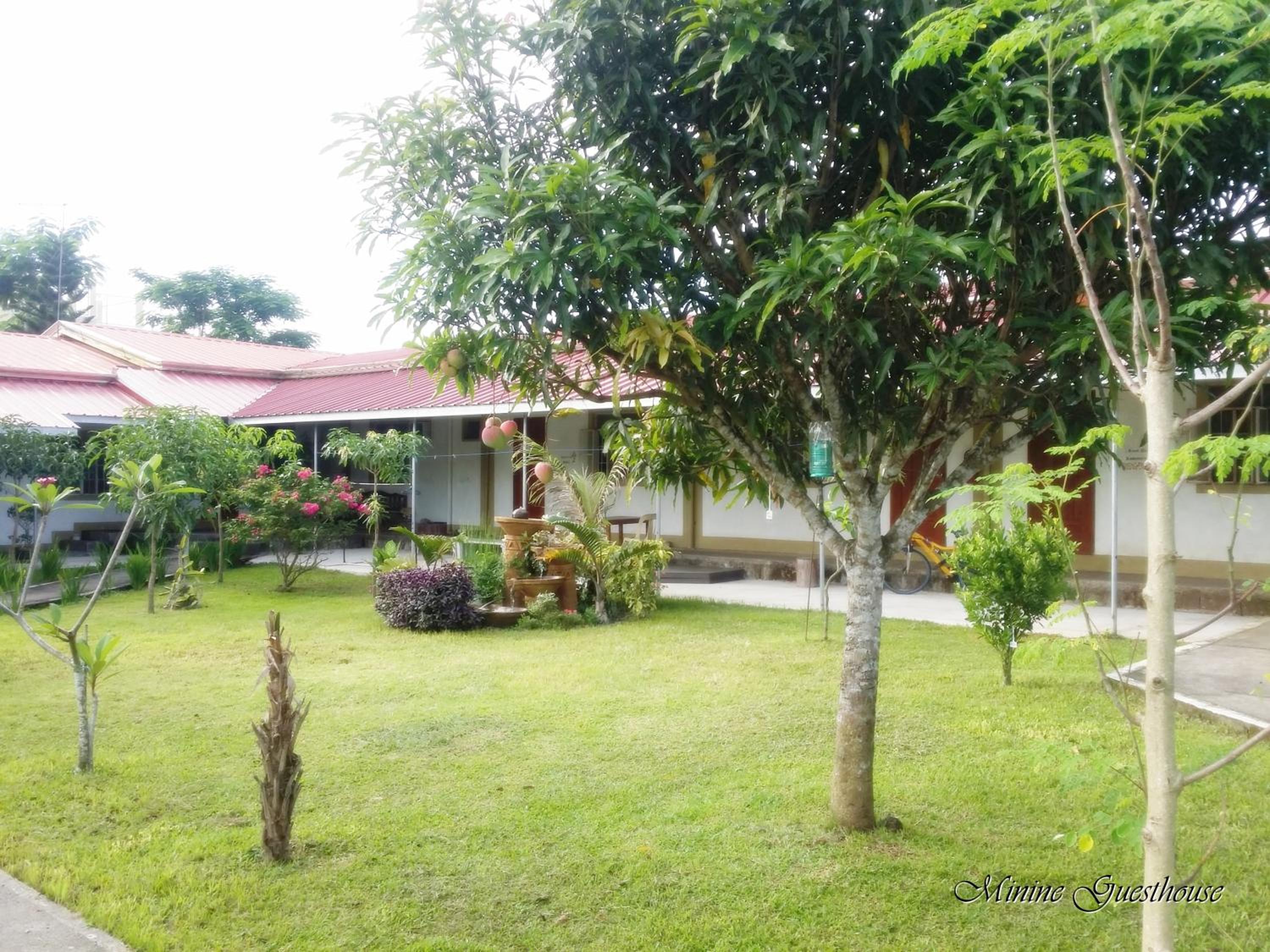 Minine Guesthouse view 5