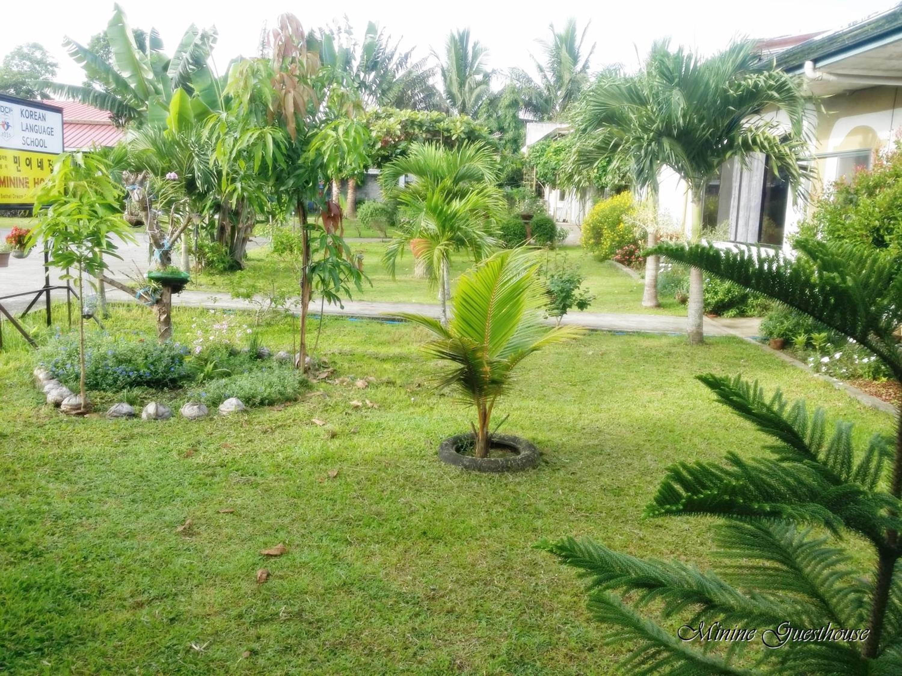 Minine Guesthouse view 4