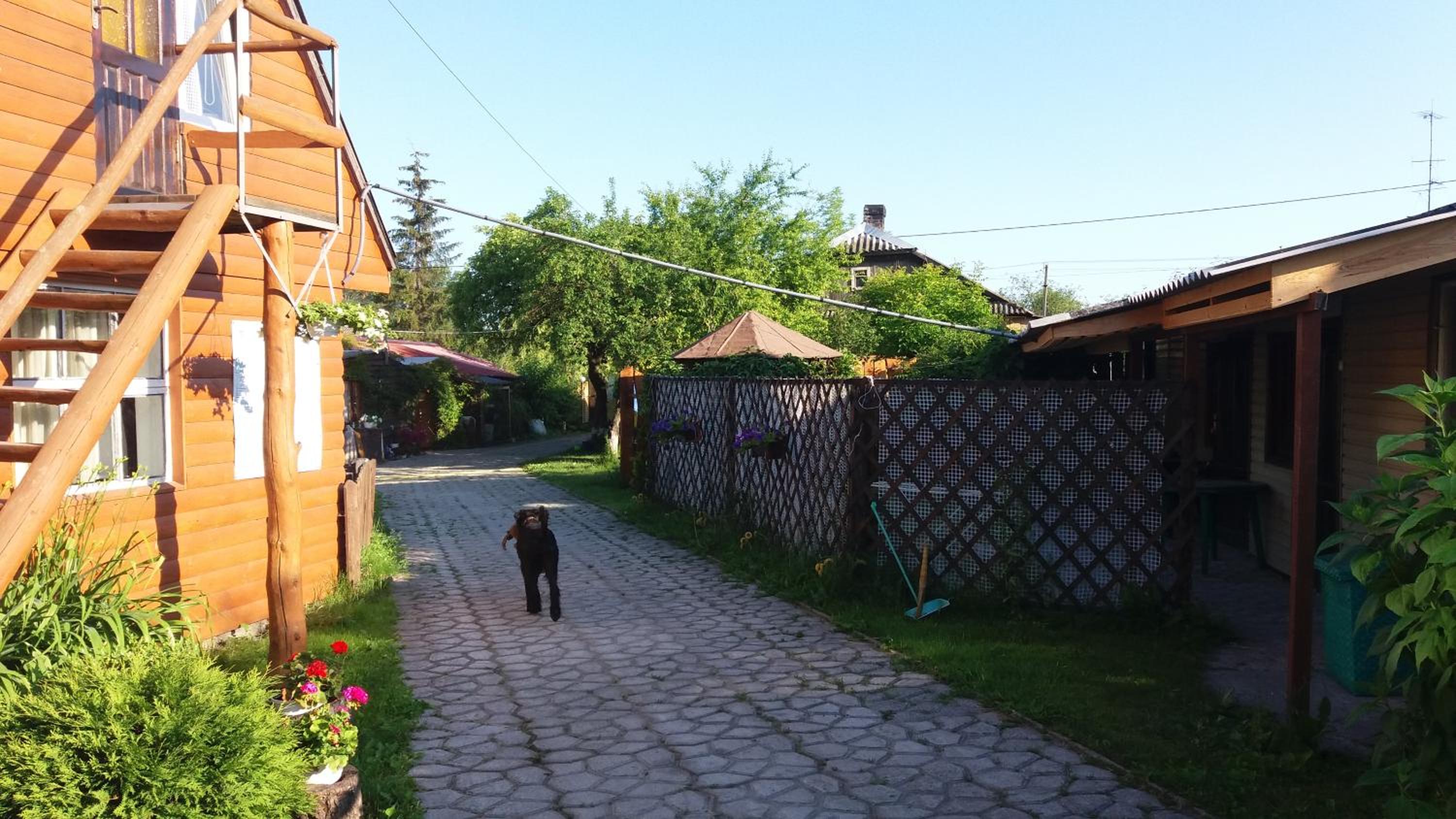 Photo 27