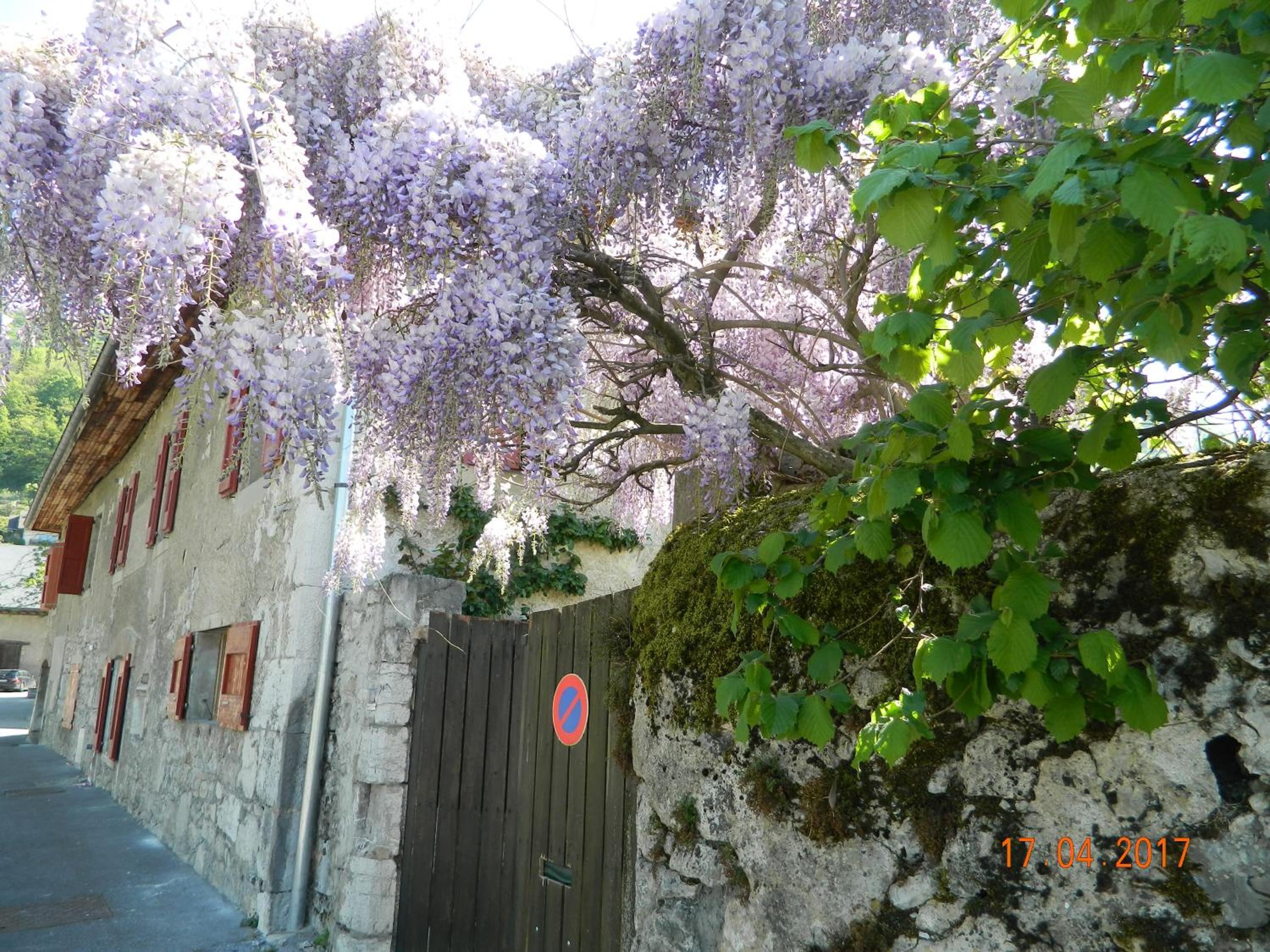 Gite de l'école, photo 6