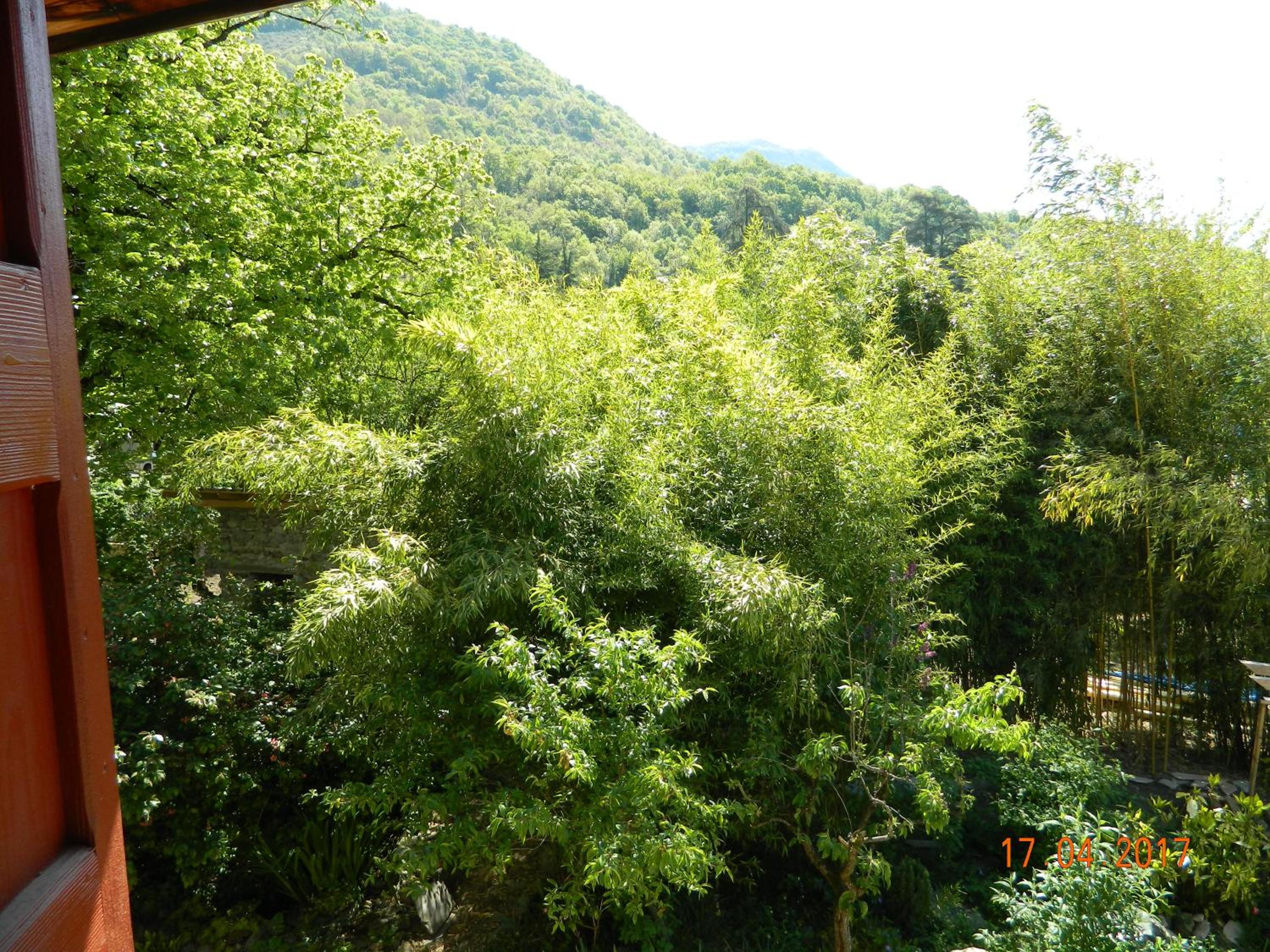 Gite de l'école, photo 23