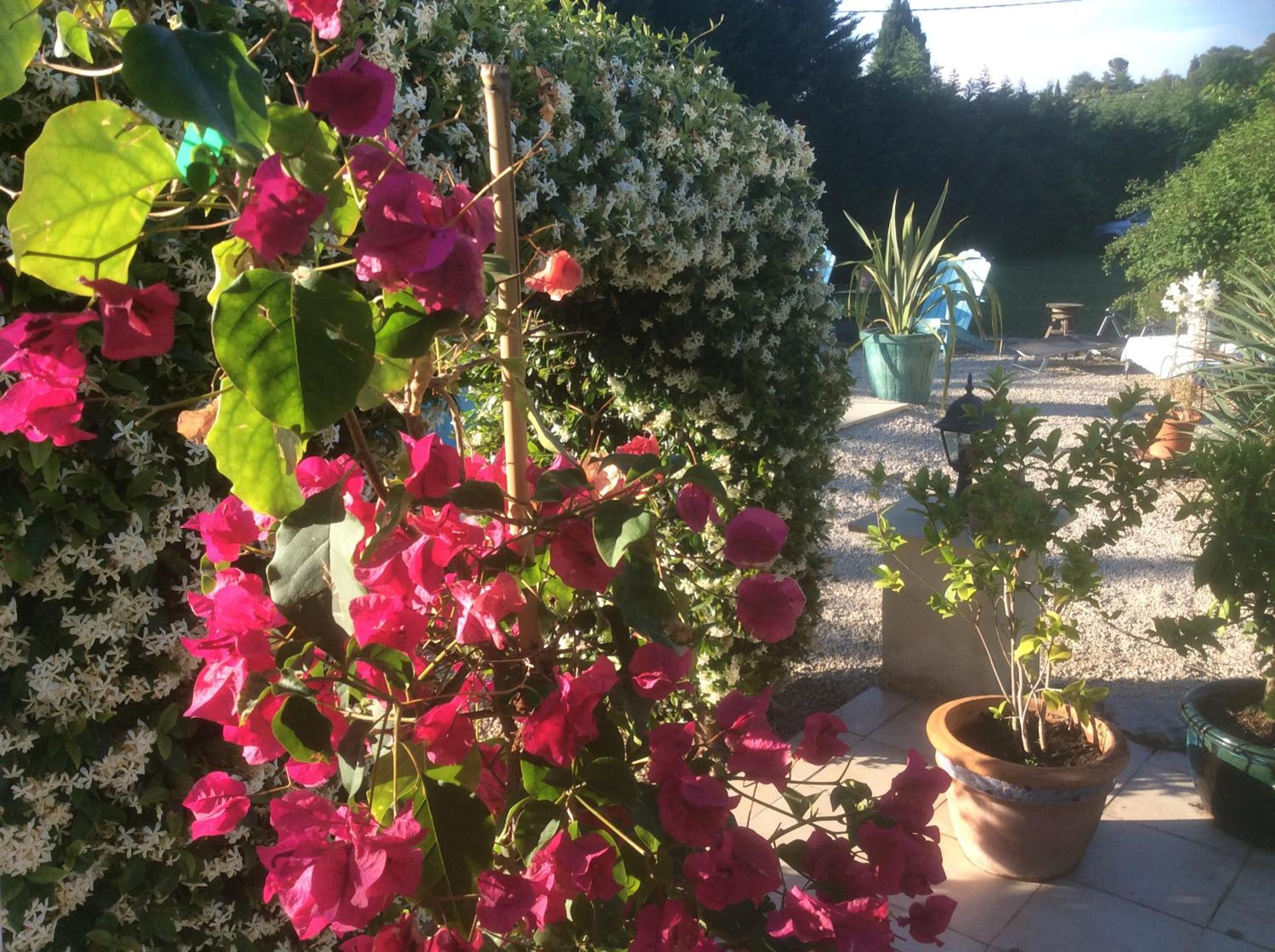 B&B Maison Brora, photo 4