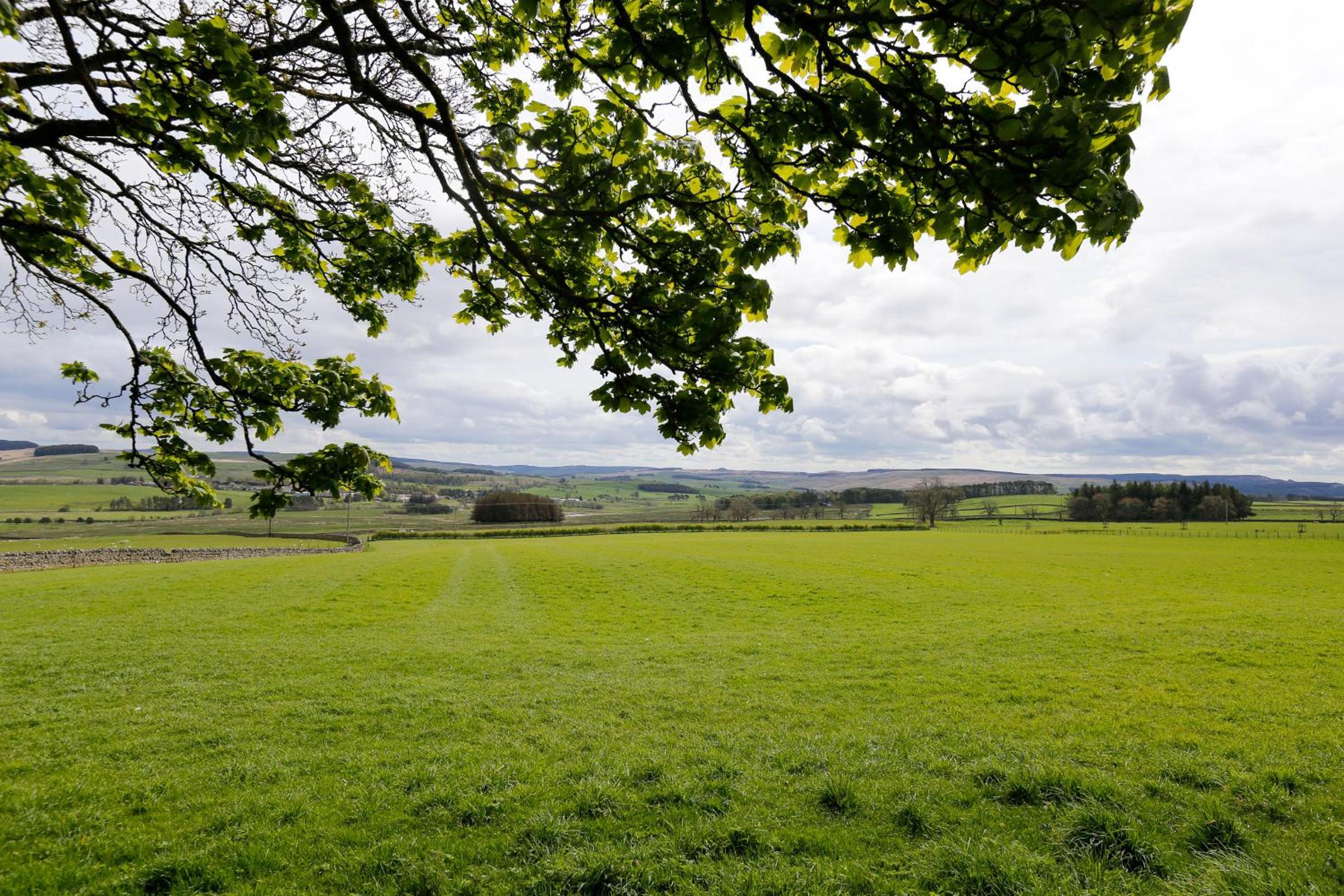 Dunns Houses Farmhouse B&B