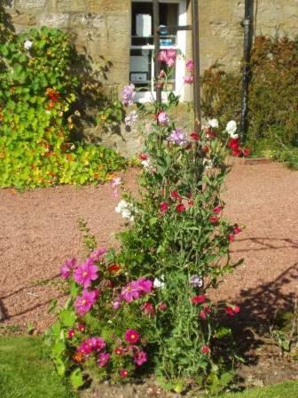 Dunns Houses Farmhouse B&B