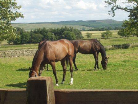 Dunns Houses Farmhouse B&B