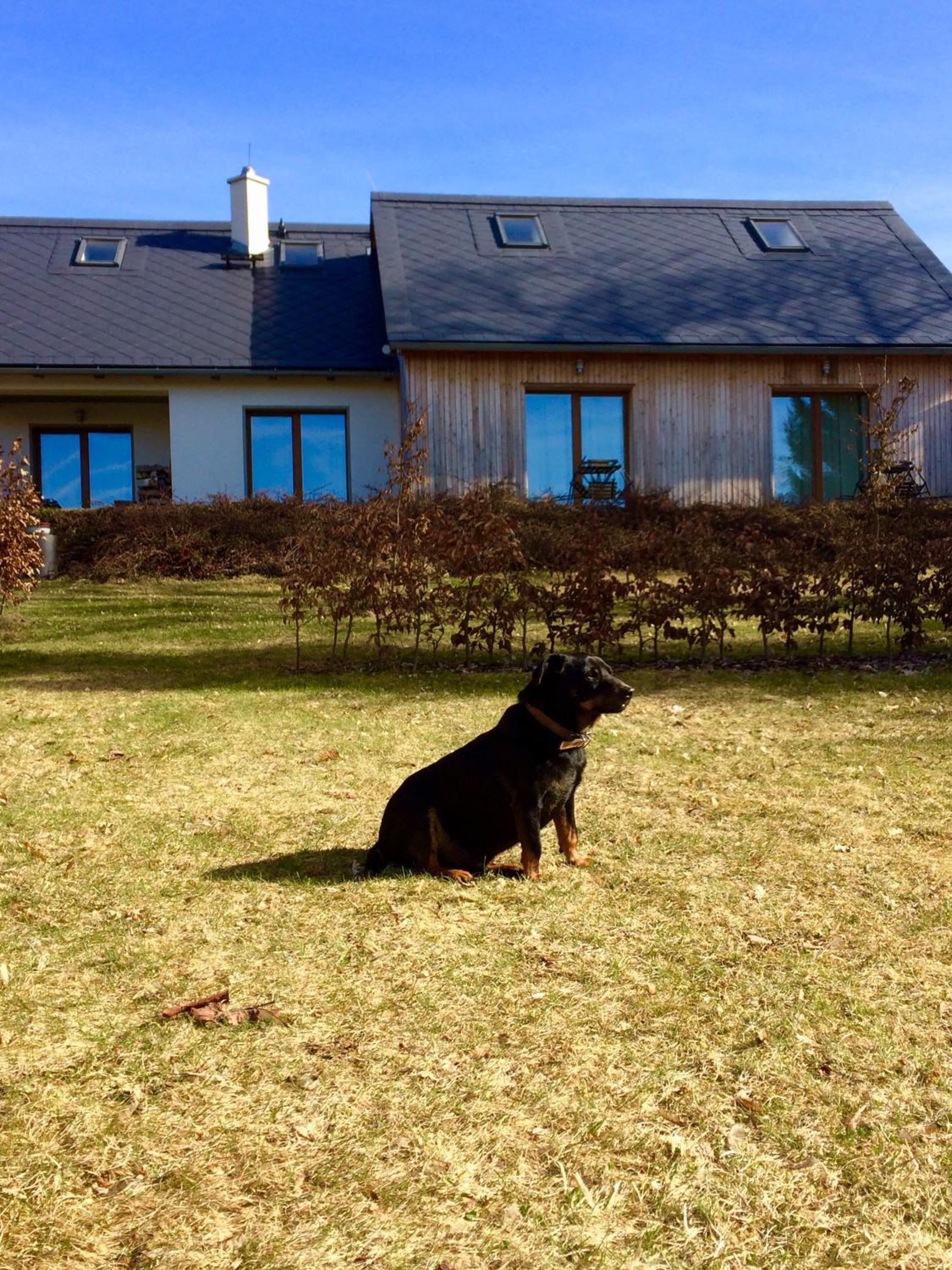 Photo 21