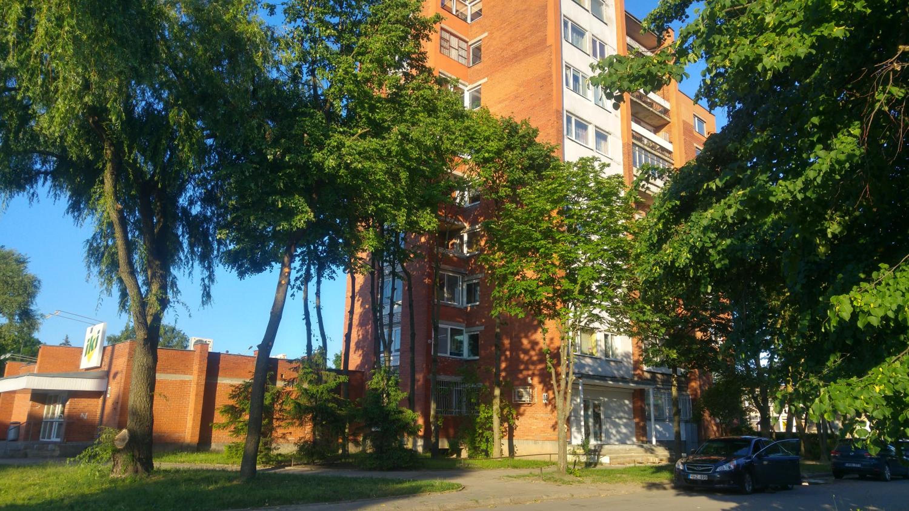 Photo 12