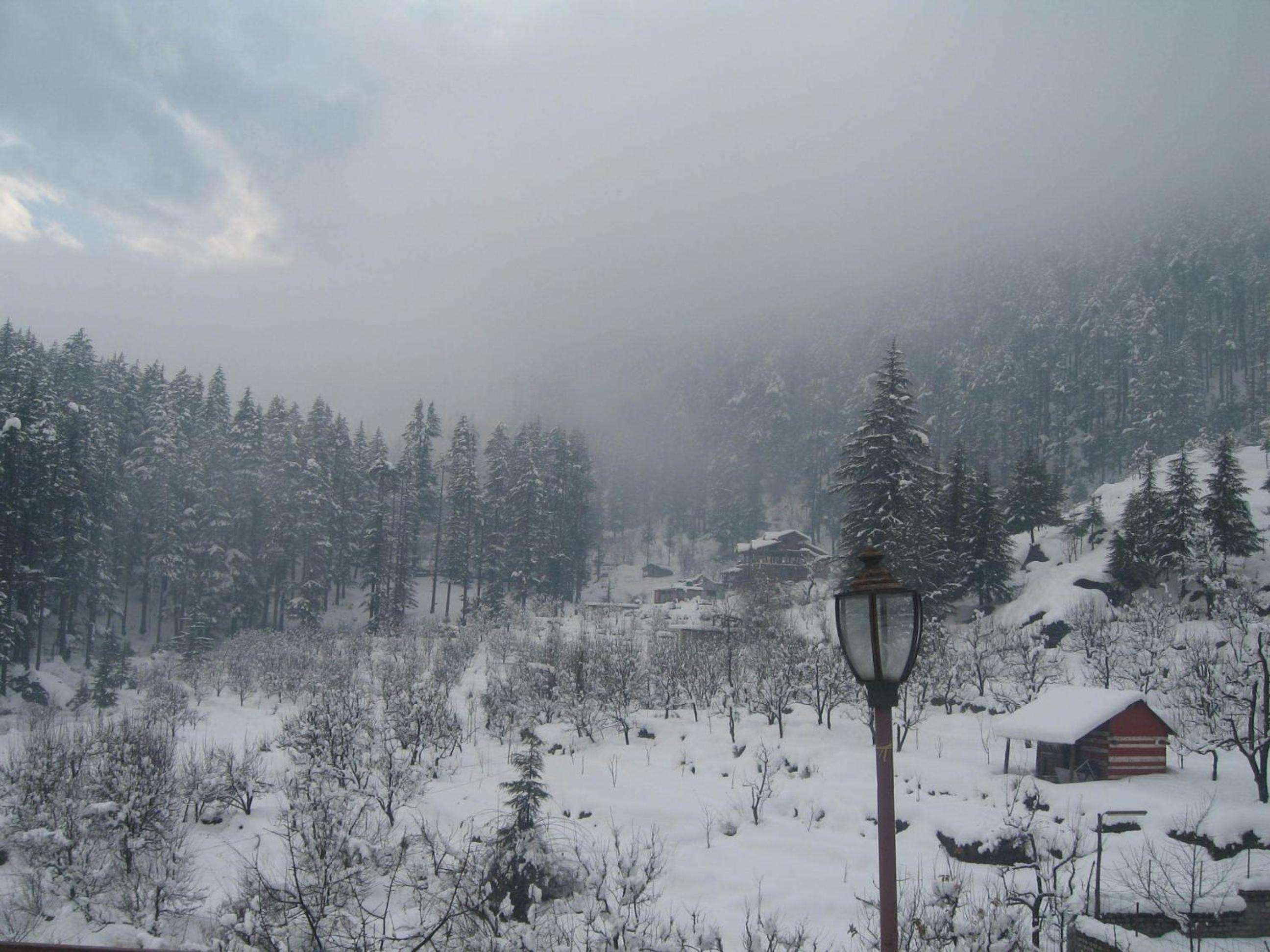 Snow Valley Resorts & Spa Manali