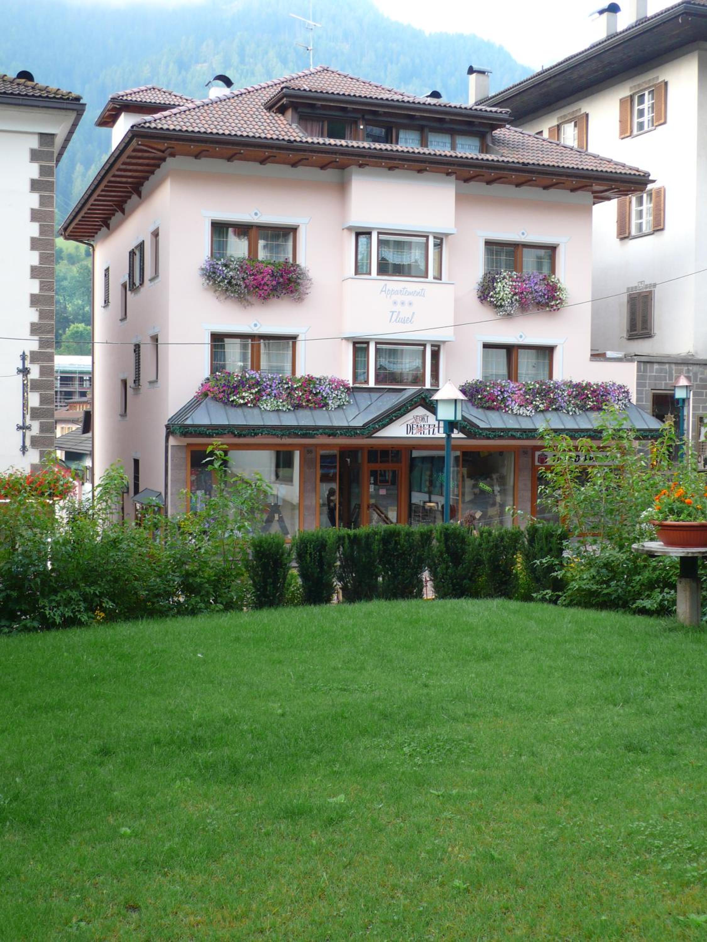 Photo 46