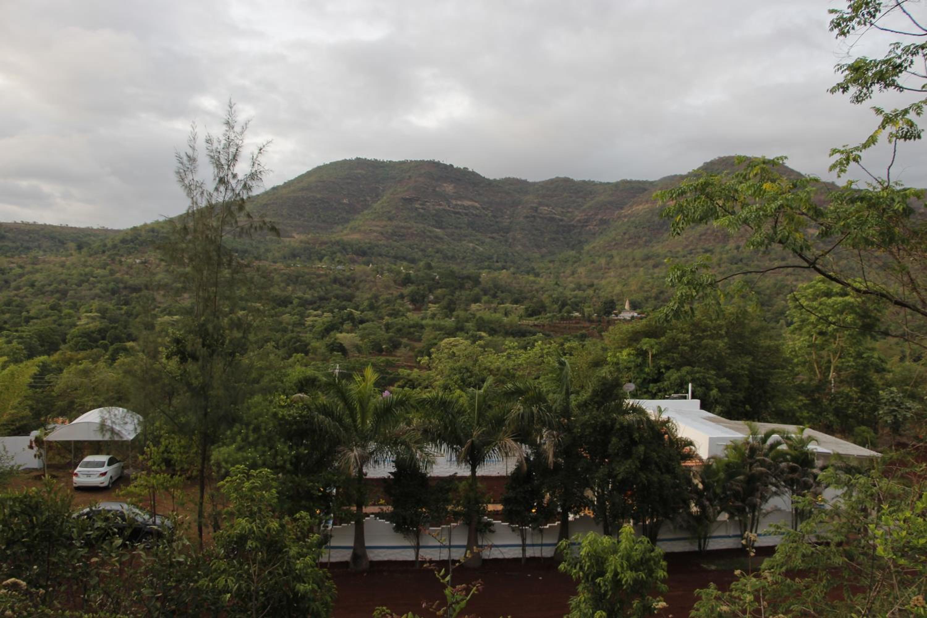 Photo 42