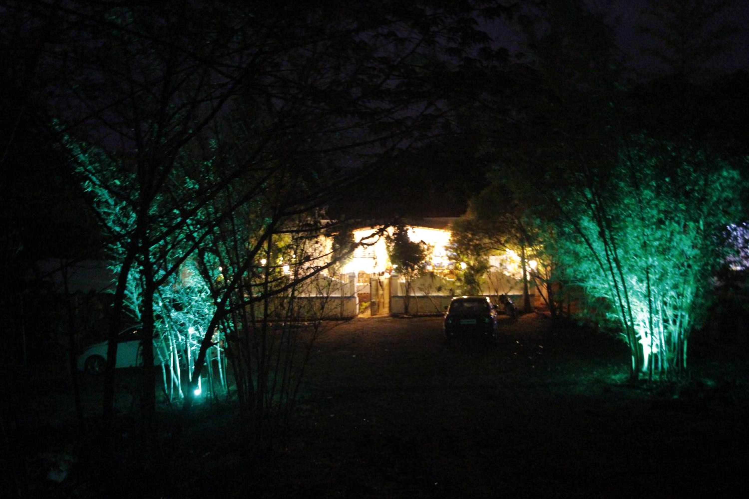 Photo 45
