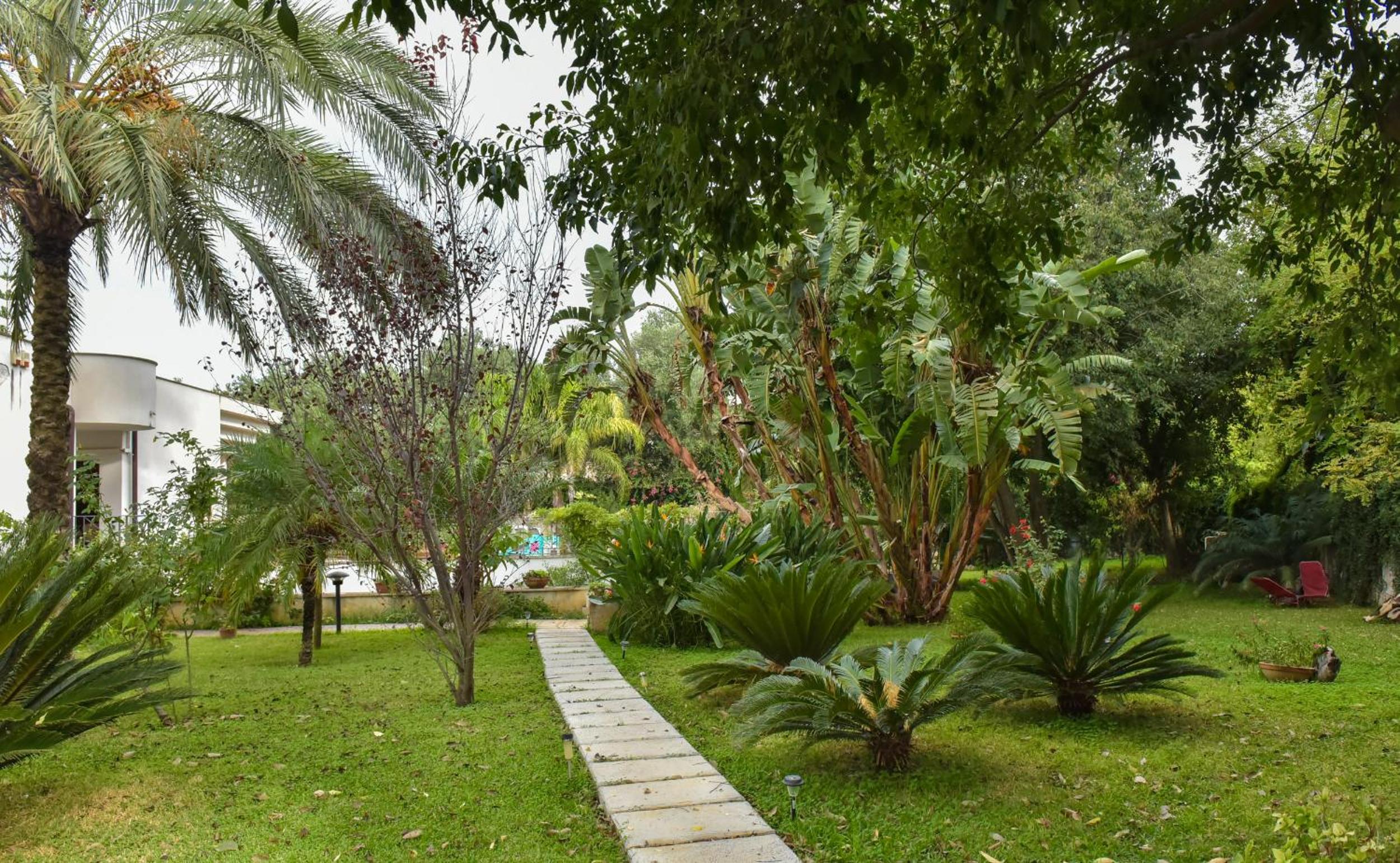 Photo 44
