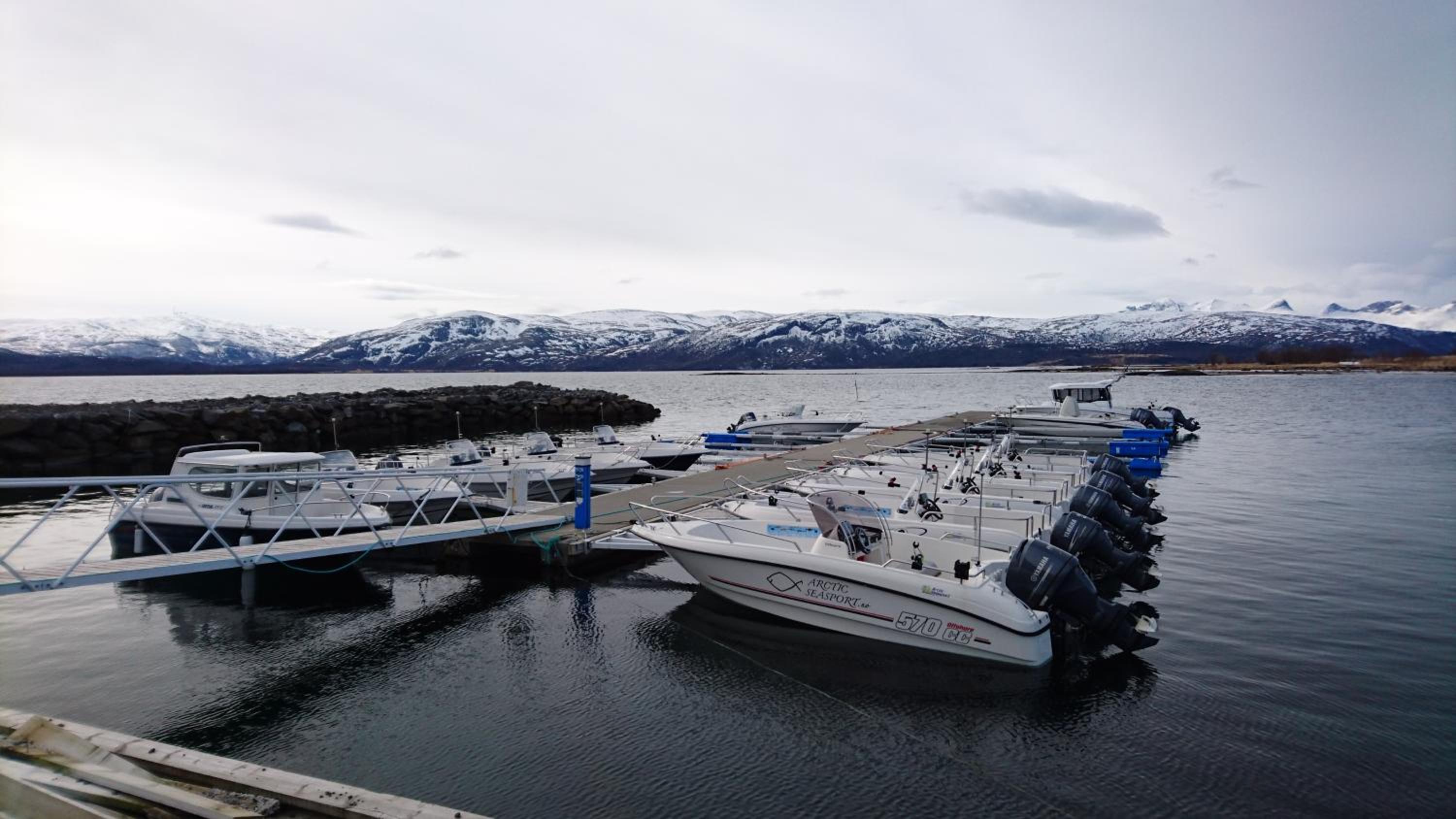Arctic Seasport