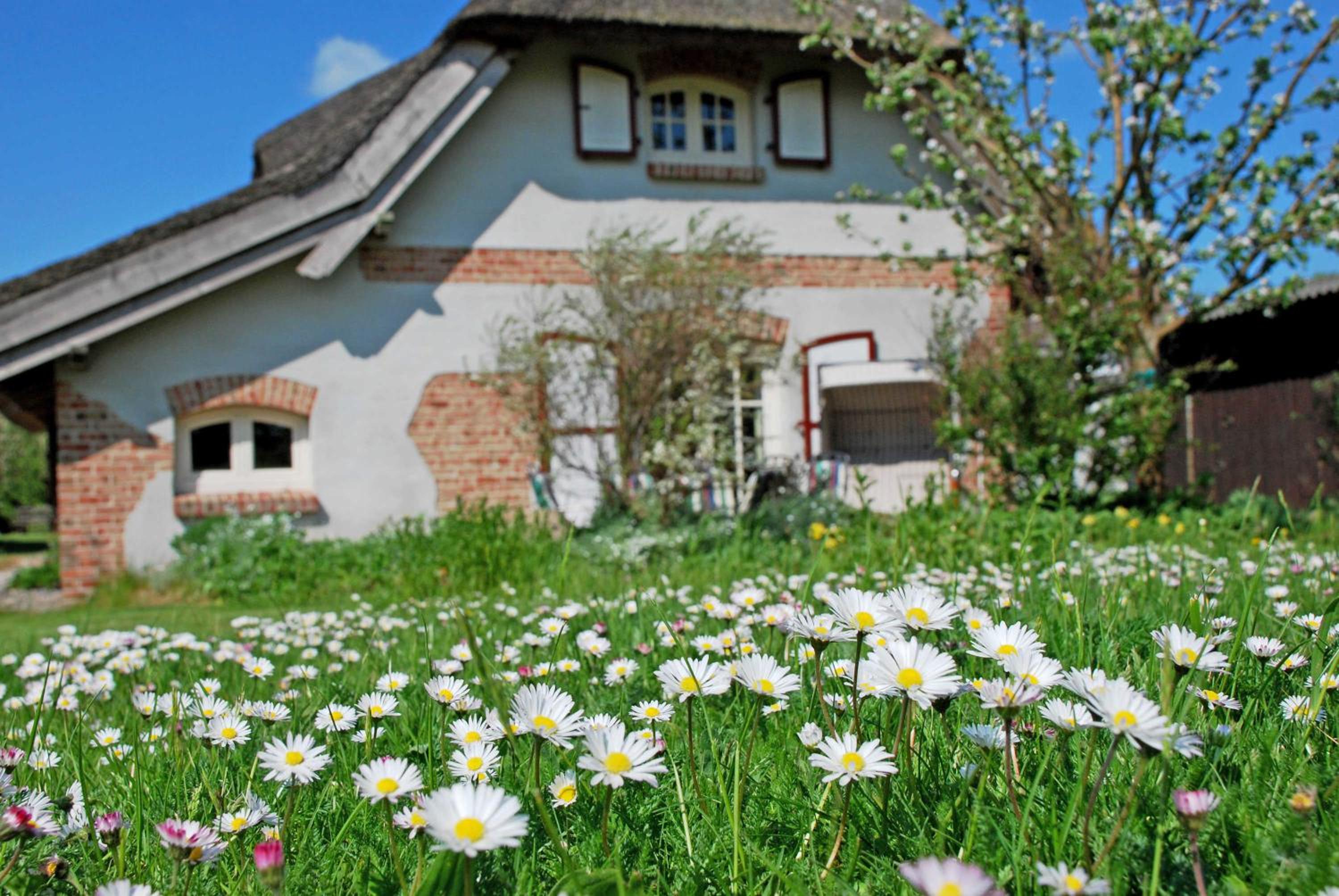 Ferienhaus unterm Reetdach