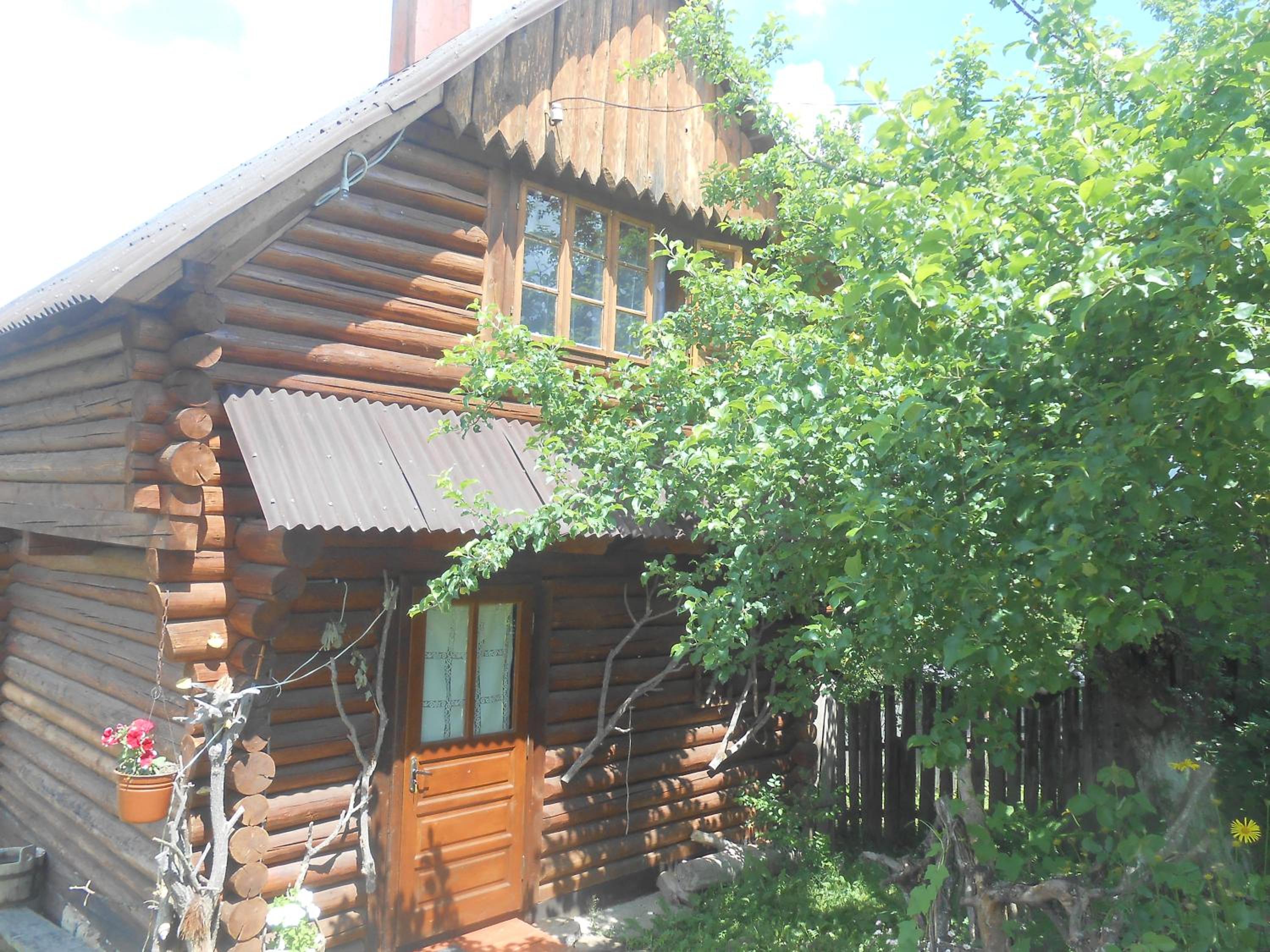 Photo 46