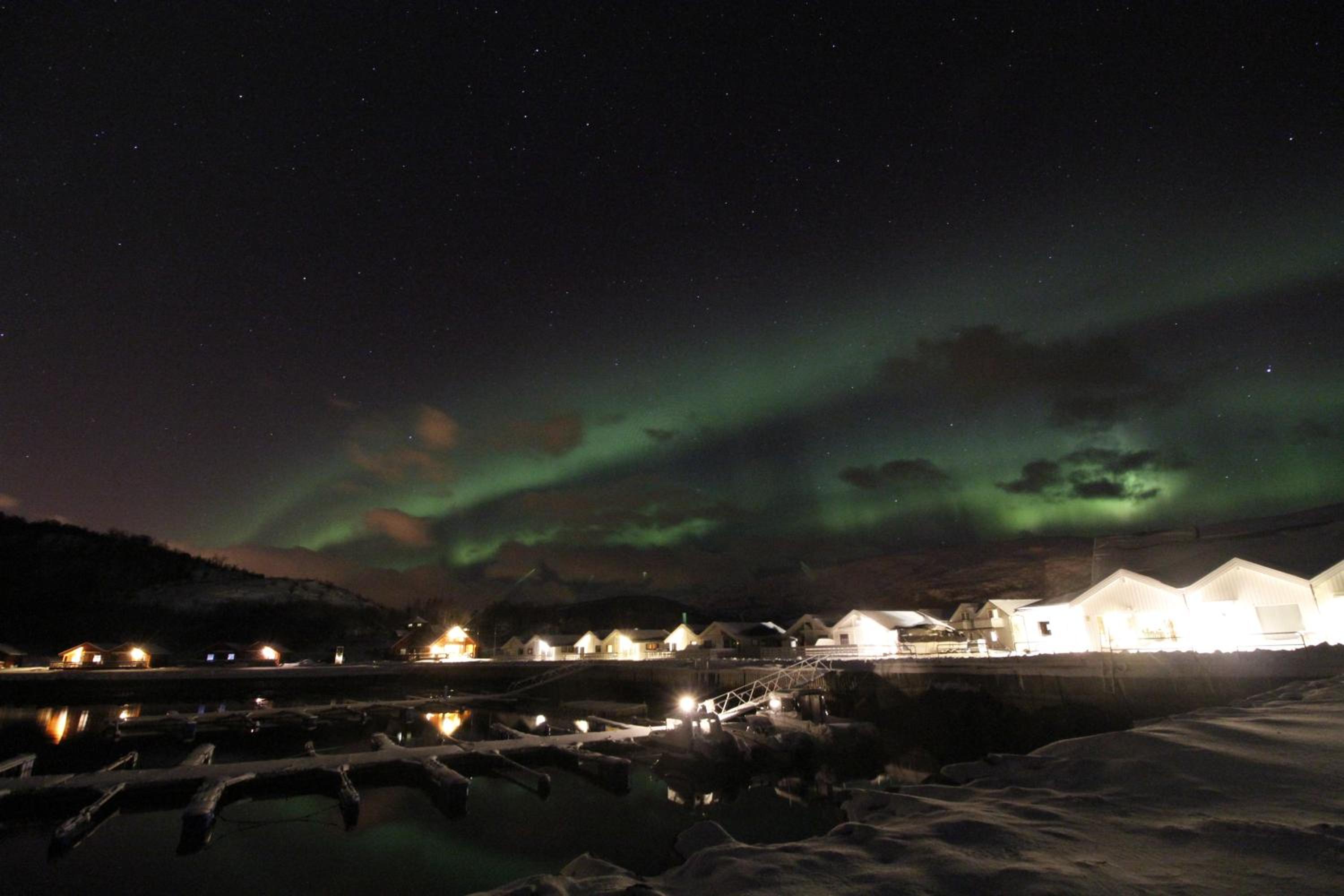 Arctic Seasport