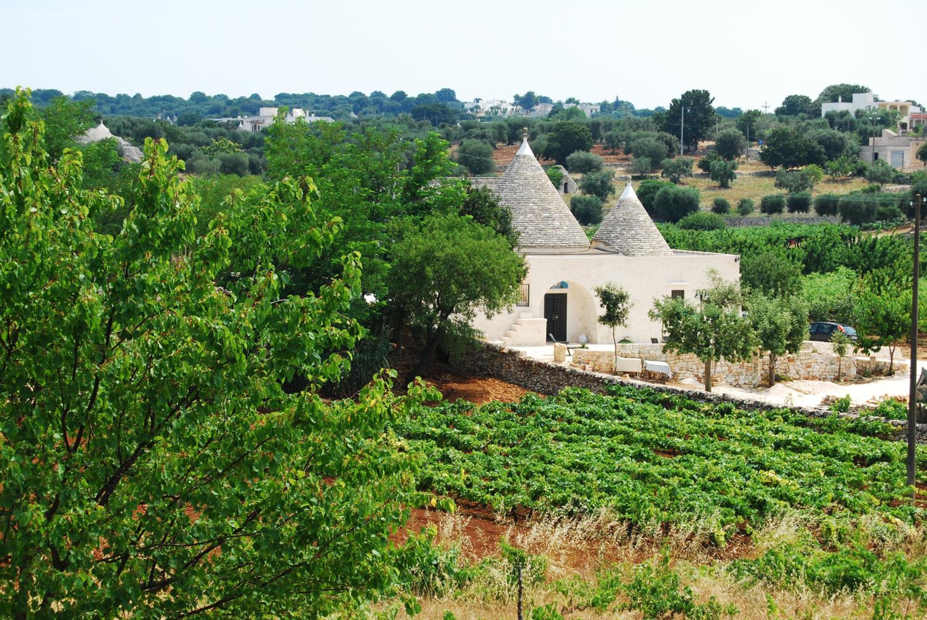 Trulli Tavolatonda view 4