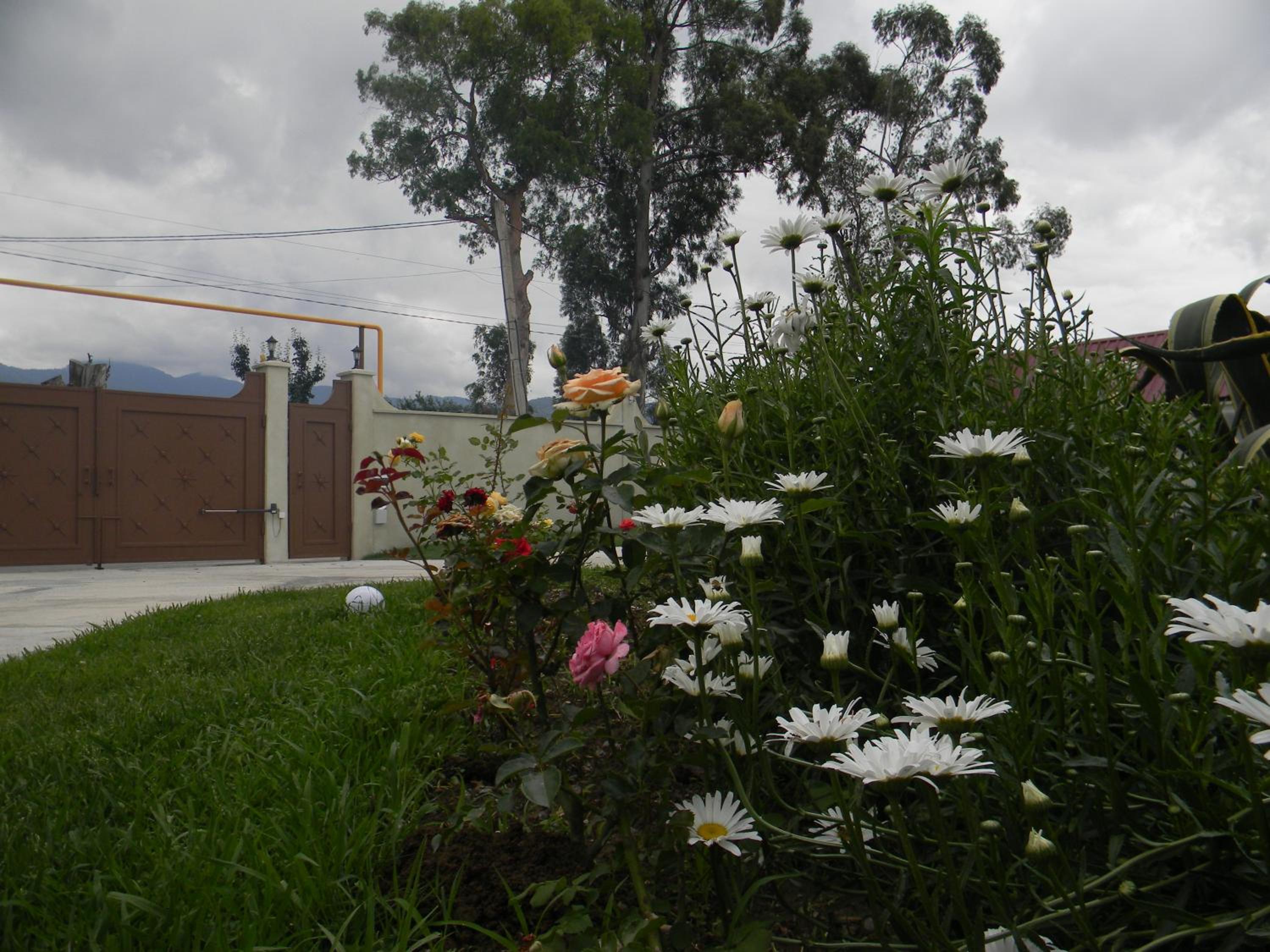 Villa Qero