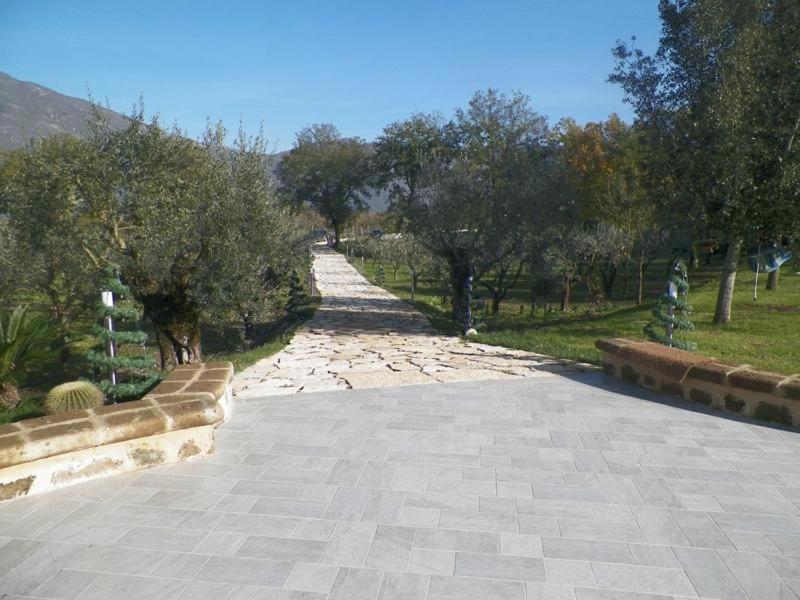 Photo 22