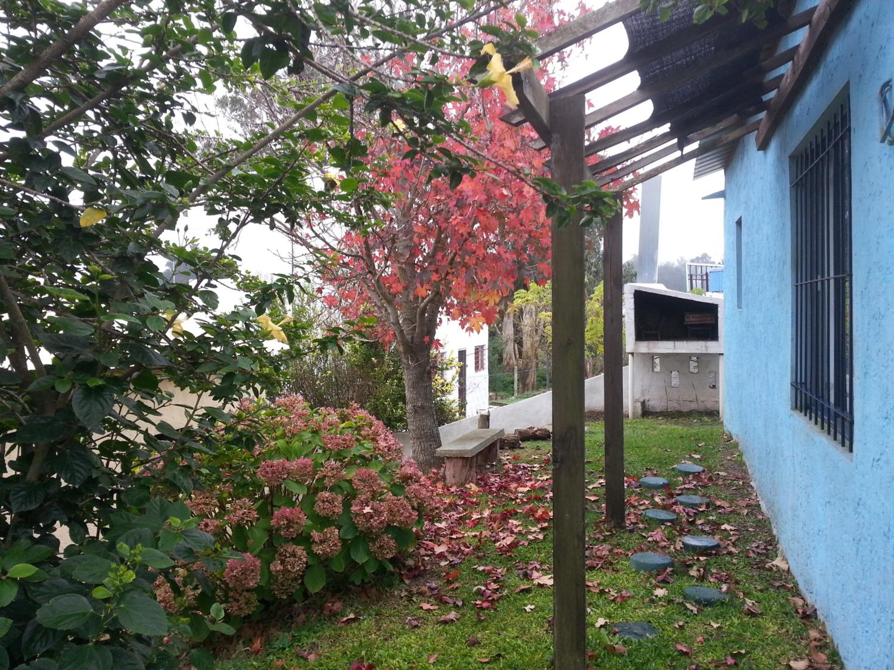 Photo 34