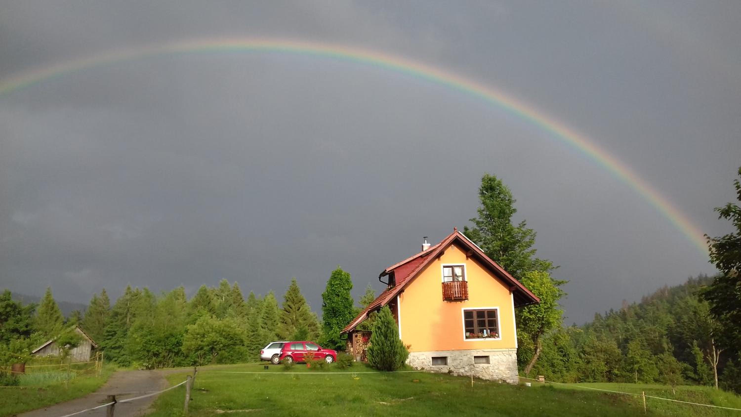 Photo 6