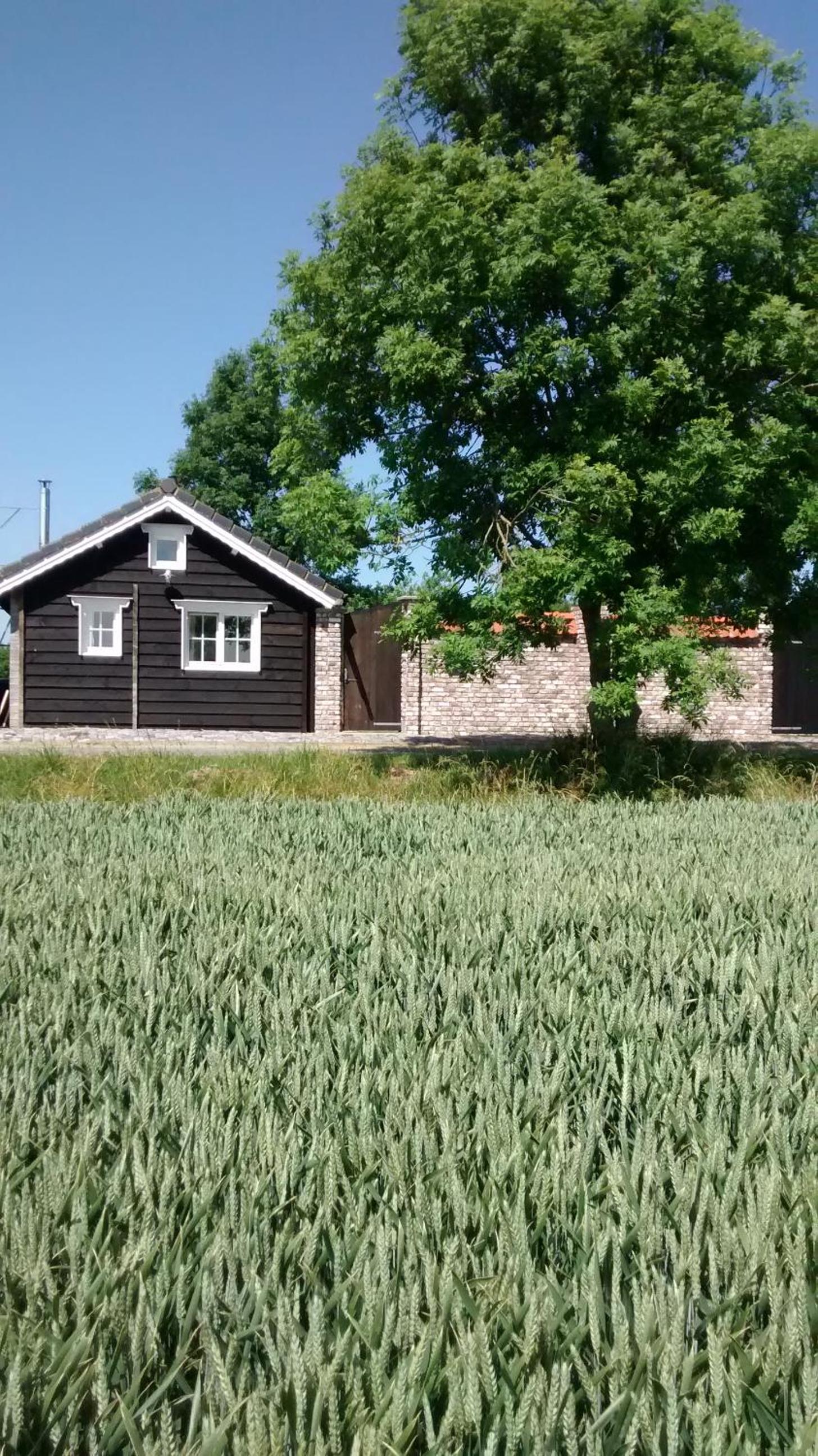 Dijkwoning Cadzand view 4