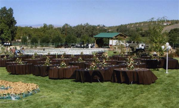 The Eden House Vineyard