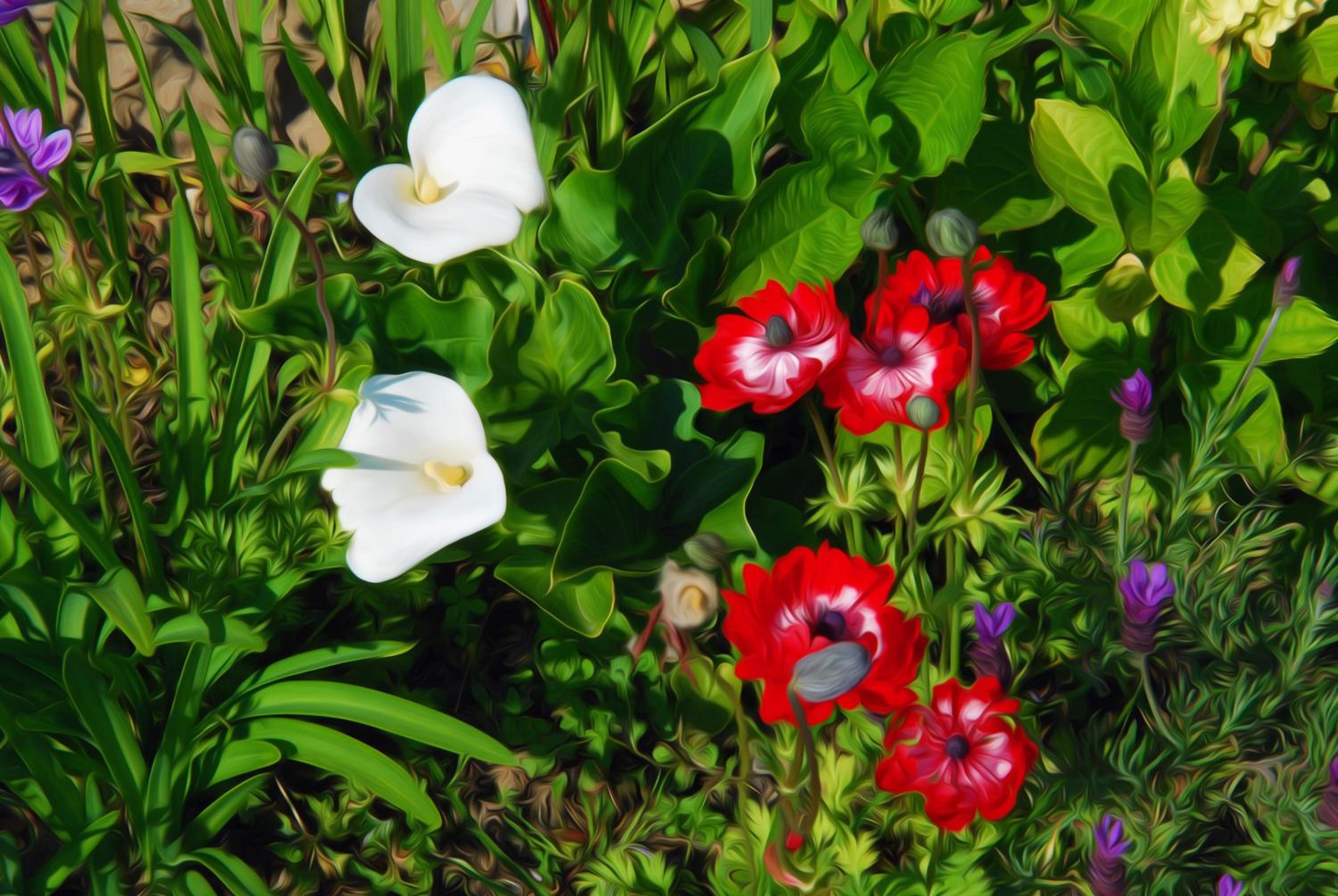 Photo 20