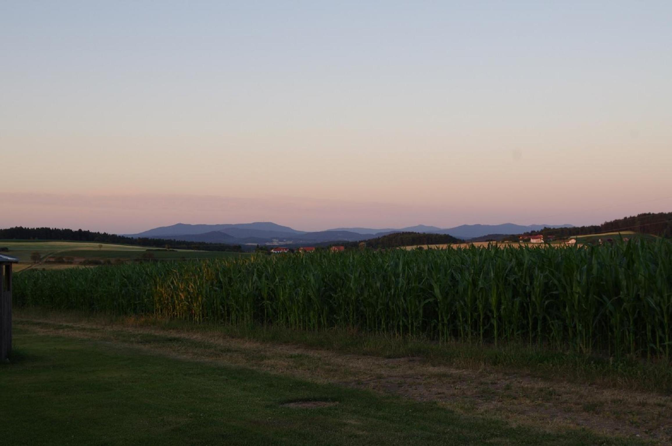 Photo 45