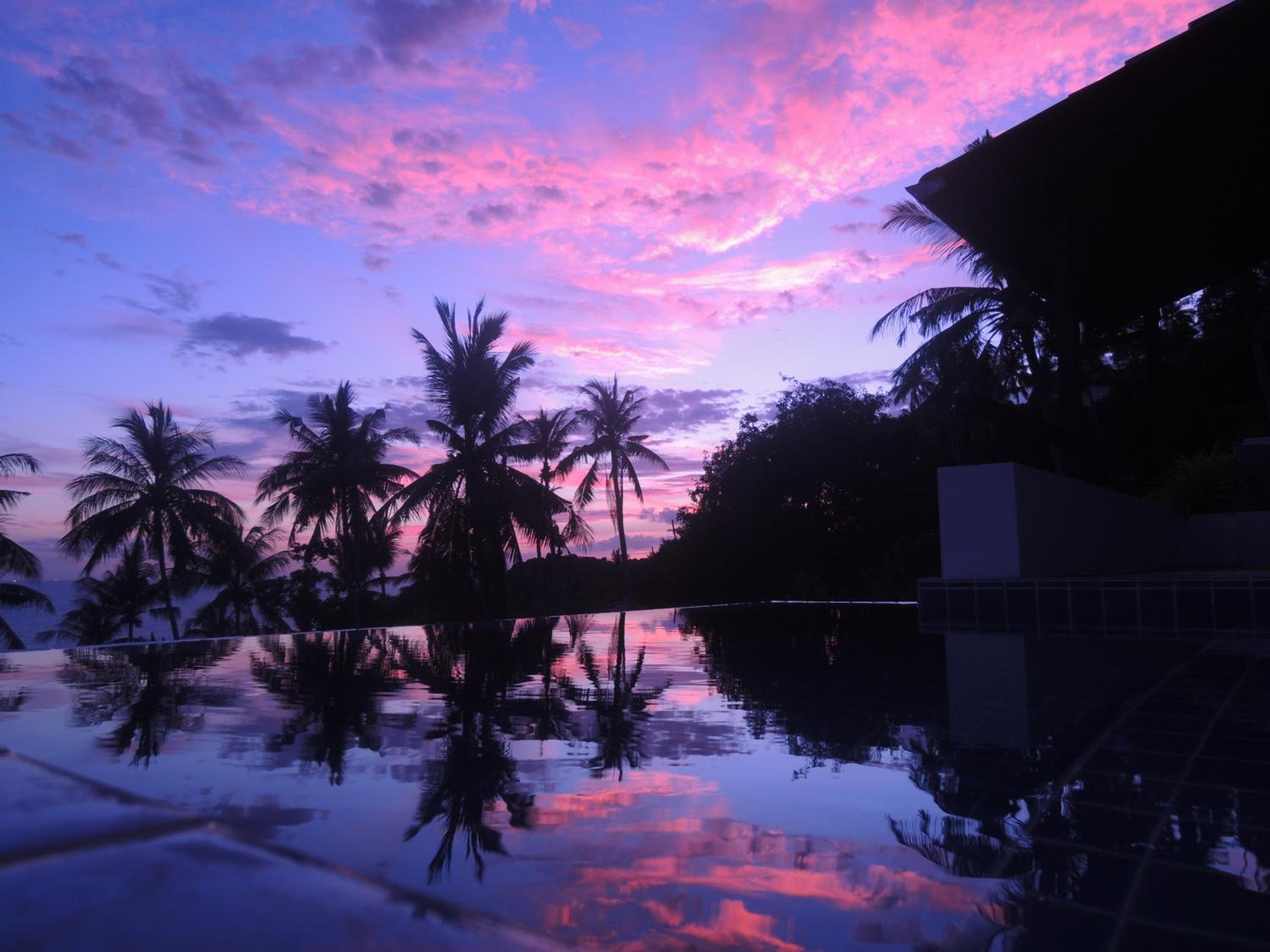 The Plantation Koh Tao