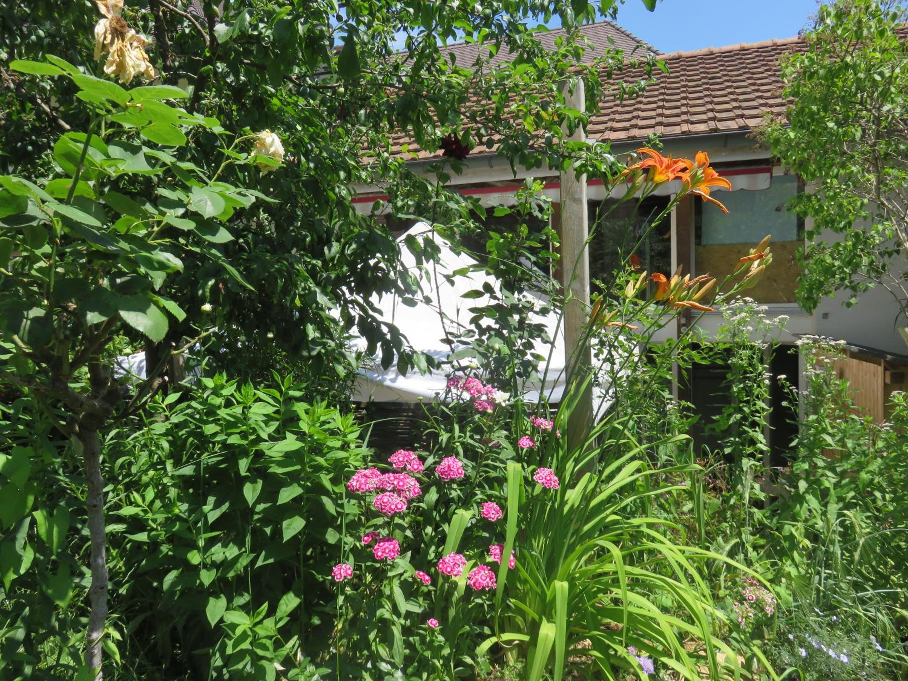 BnB Erlach