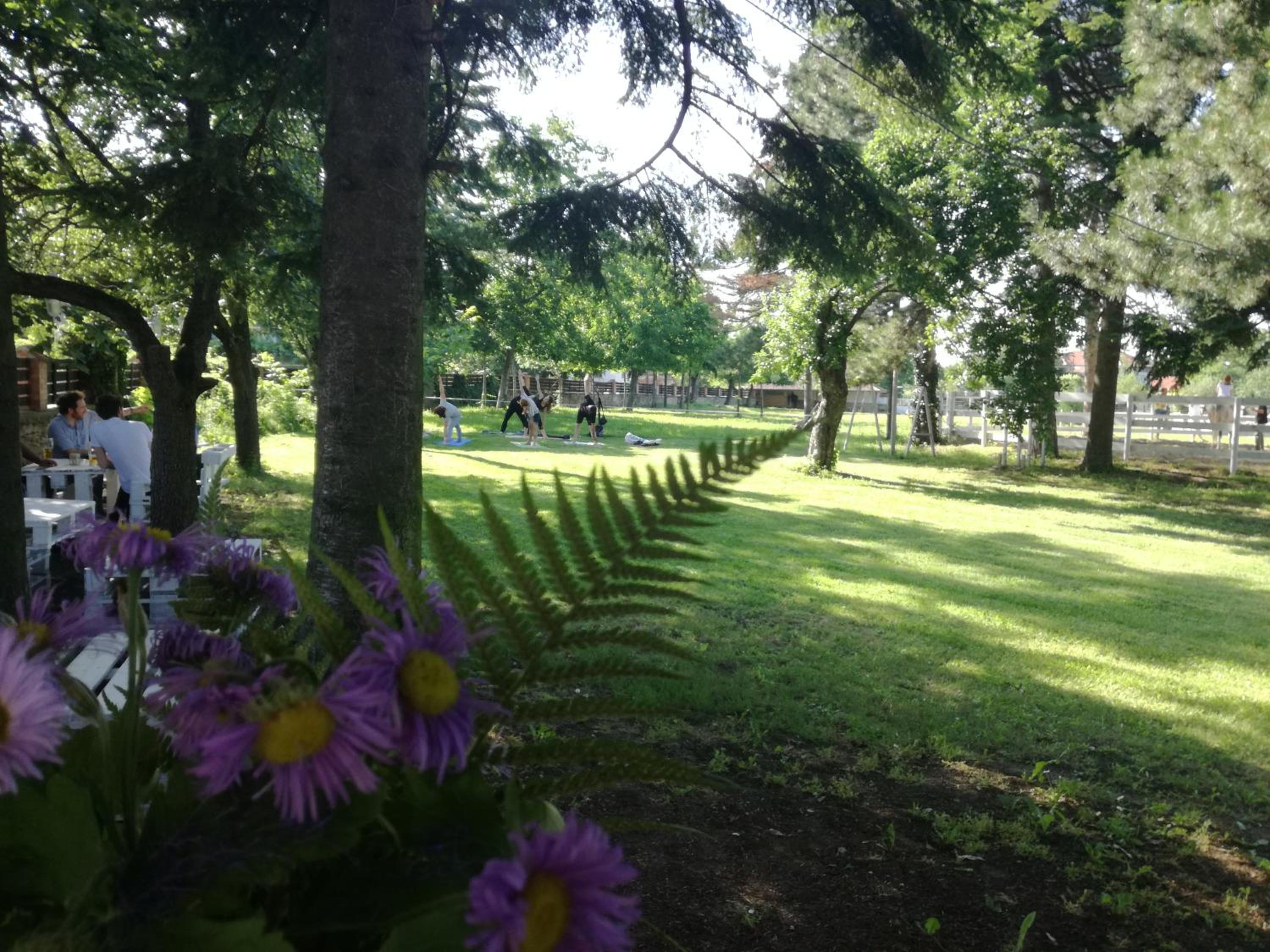 Guest House Ongal
