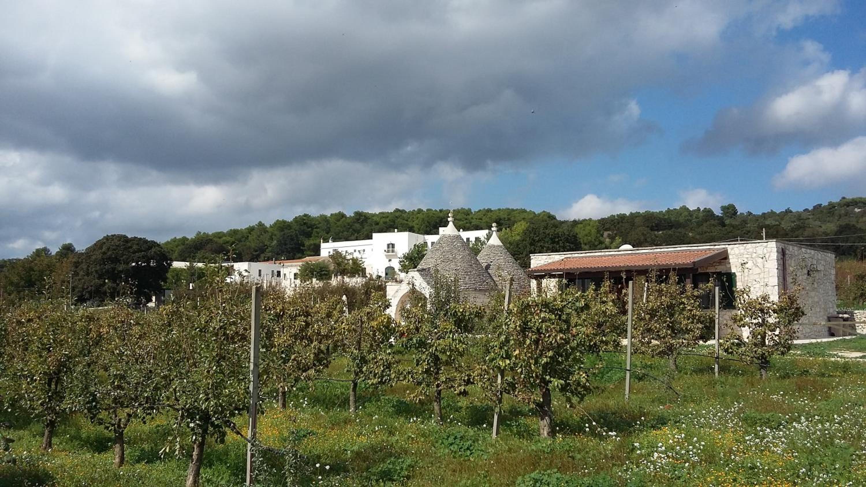 Masseria Torricella