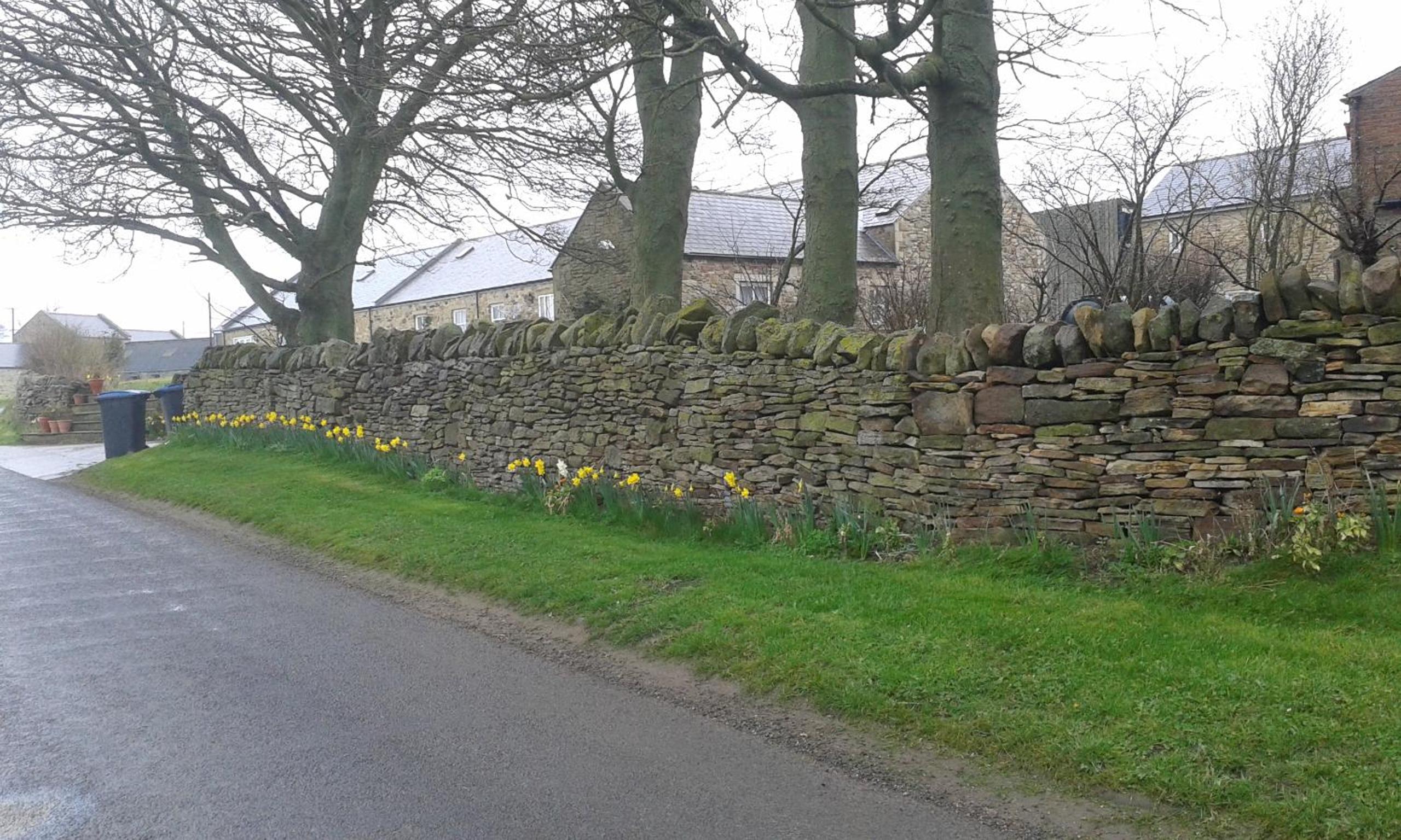 Hamsteels Hall Cottages
