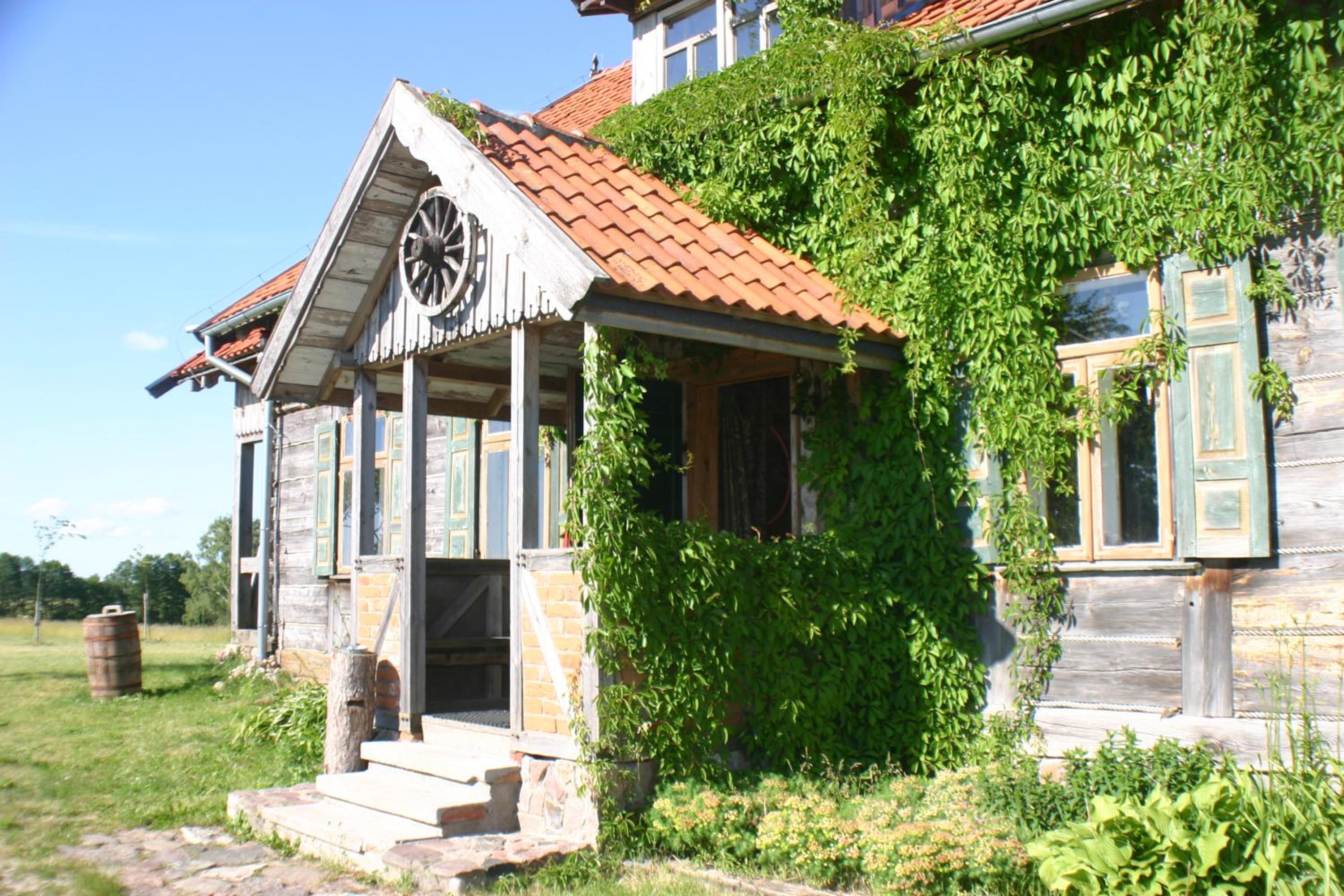 Photo 7