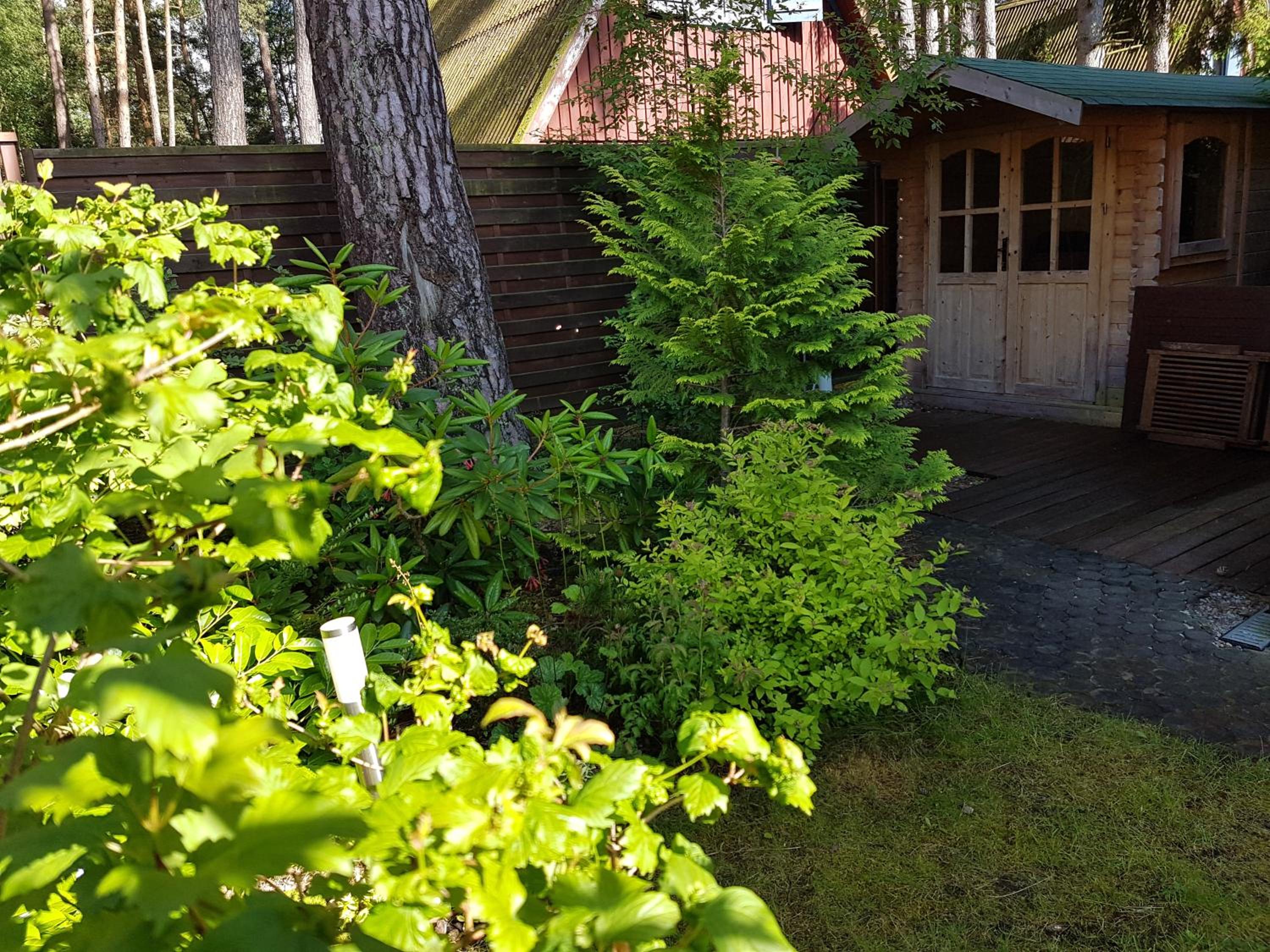 Photo 15