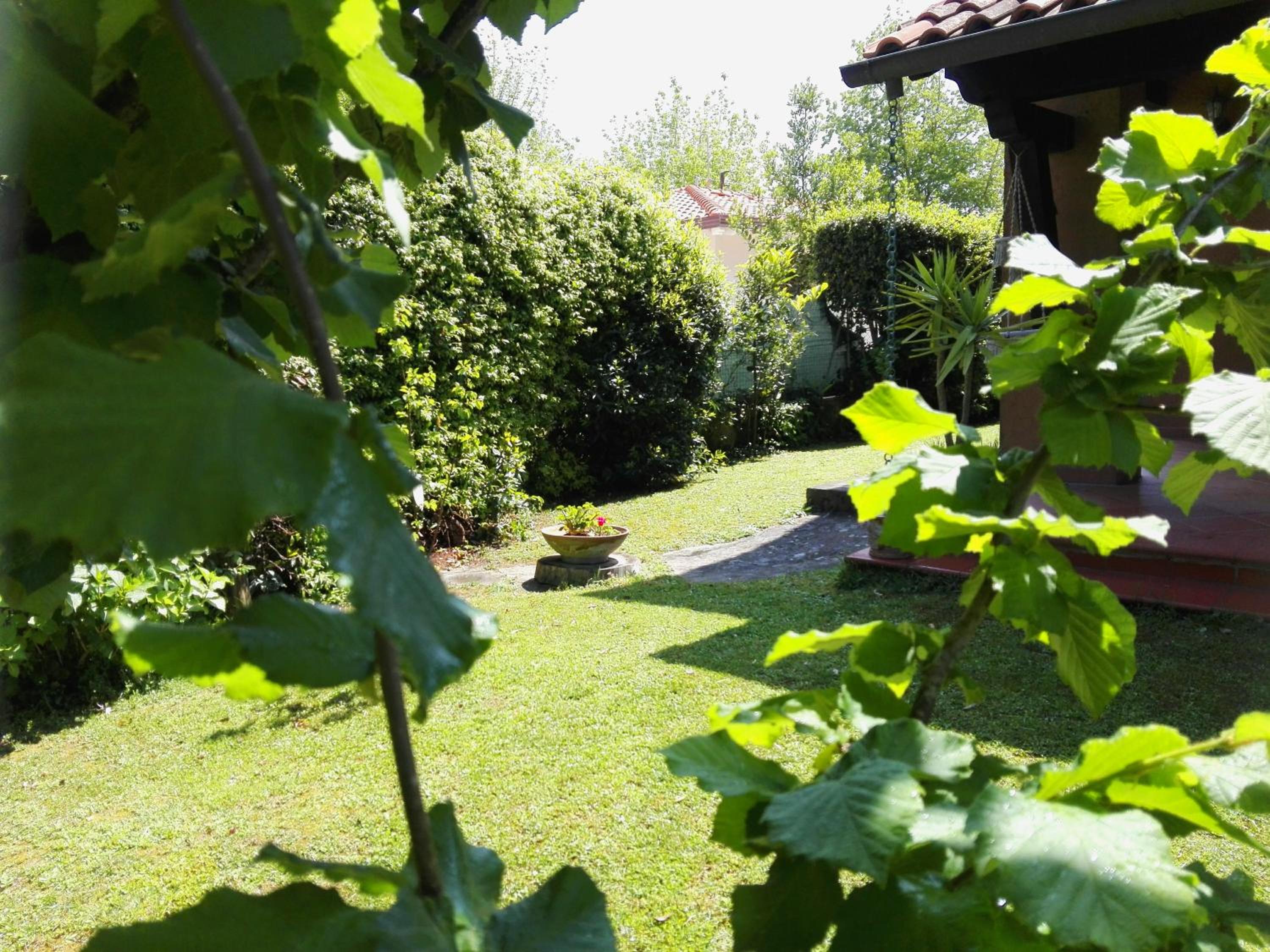 Il Gelsomino view 3