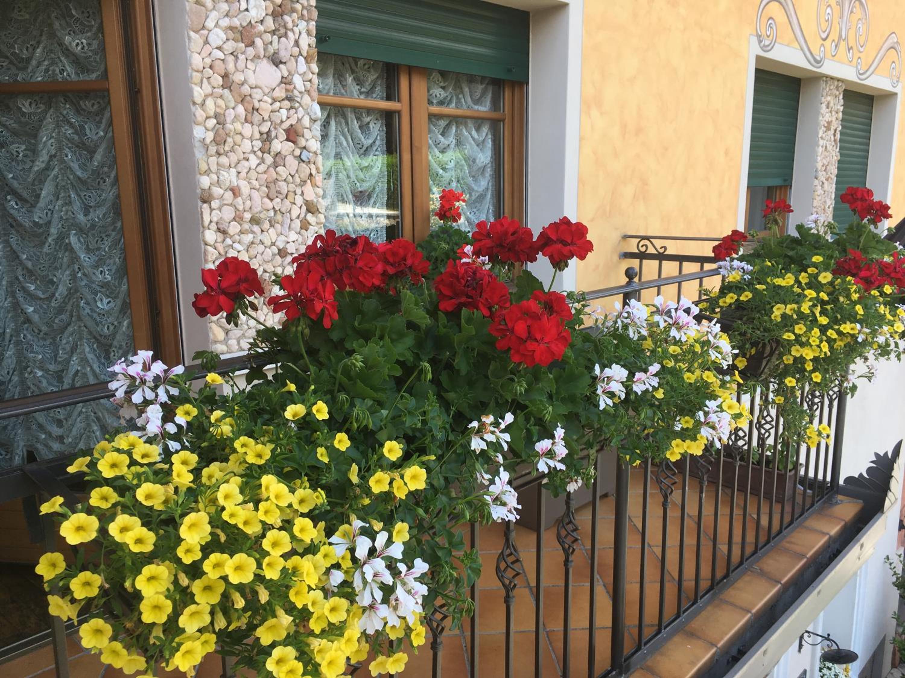 B&B Alla Loggia dell'Imperatore