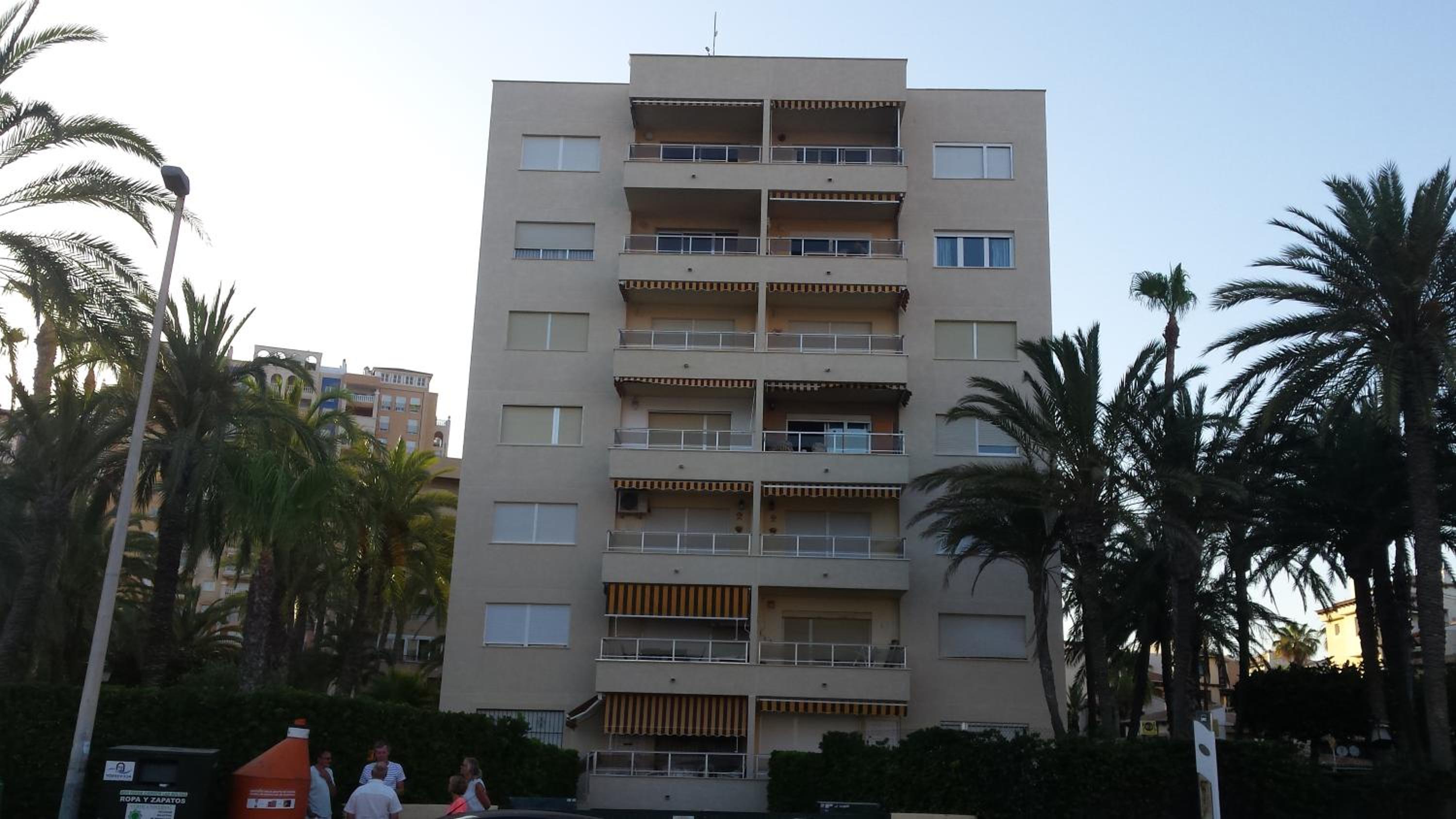 Palmeral de Torrevieja photo 2
