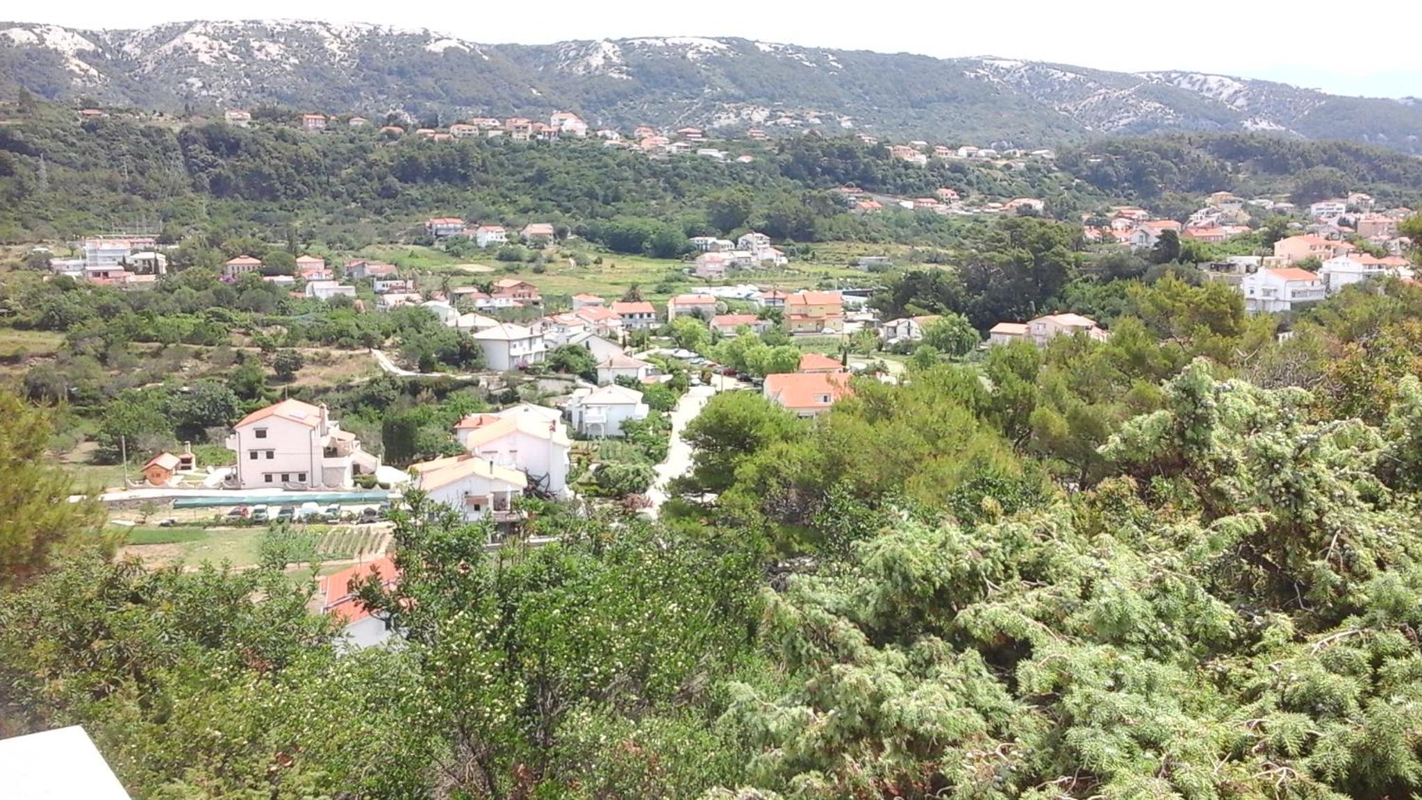 Photo 45