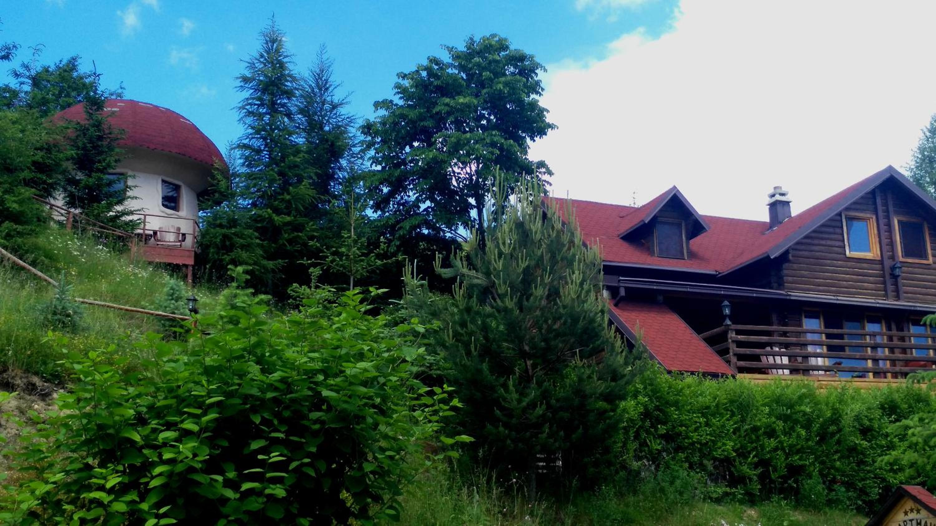 Photo 26